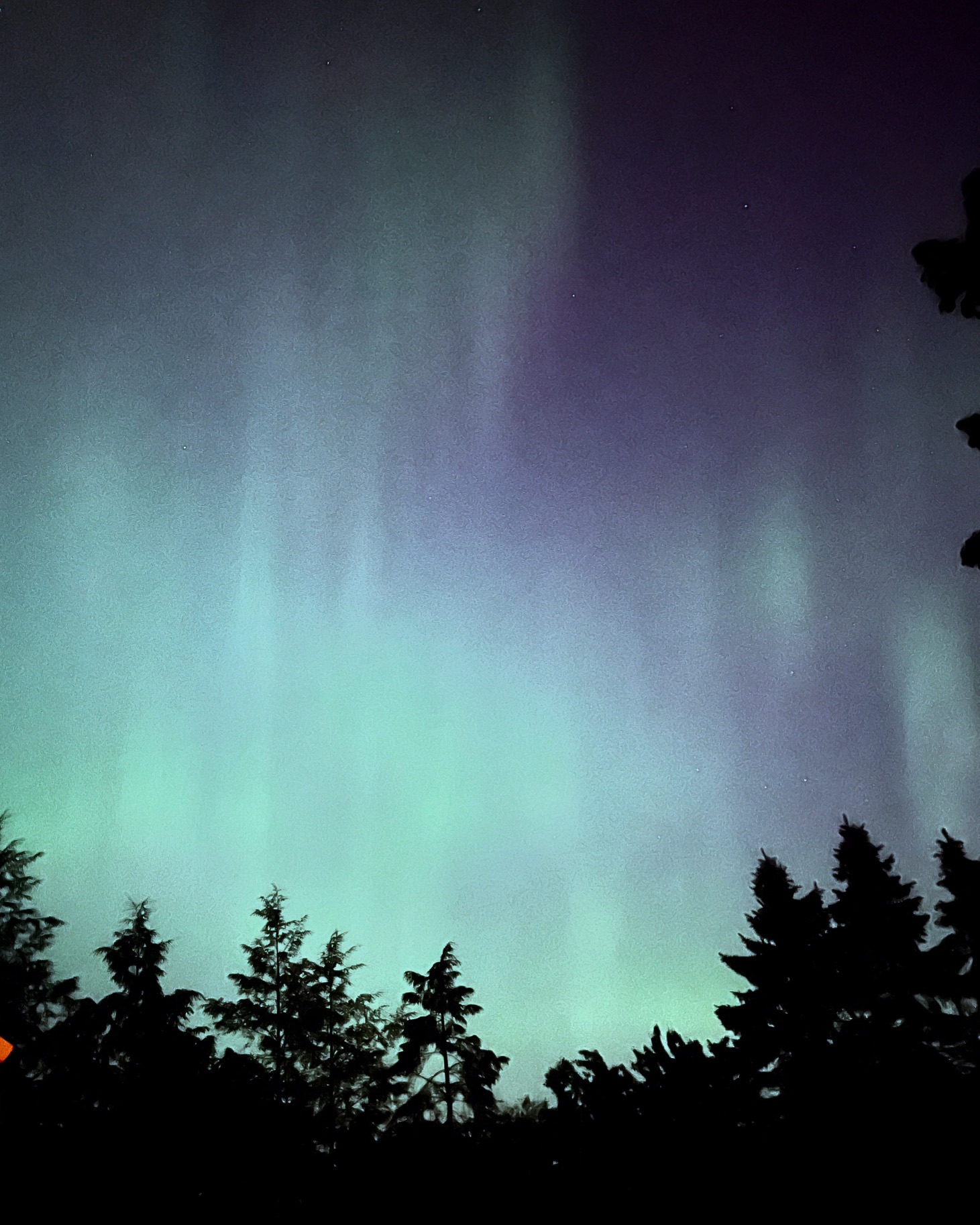 Community photo entitled Aurora Magic at Home by Justine Neslund on 05/11/2024 at Crystal Lake, Il 60014