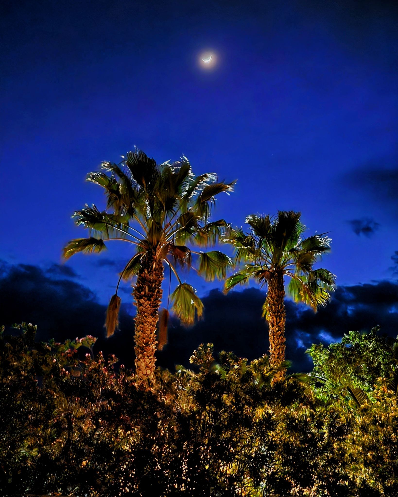 Community photo entitled Waxing Crescent Moon by John Solvie on 05/10/2024 at Las Vegas, Nevada