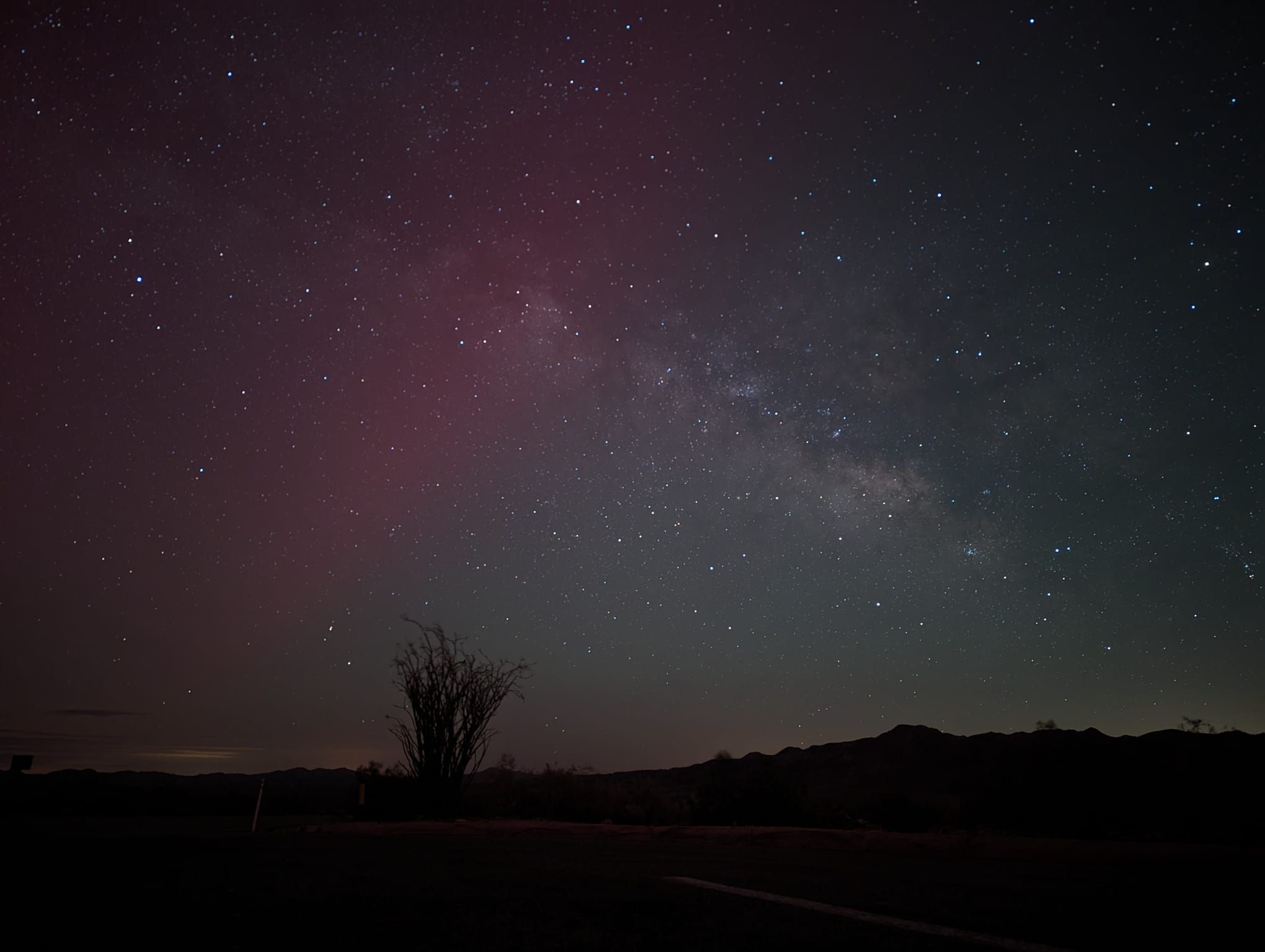 Community photo by Ravi Kailayanathan | Joshua national park