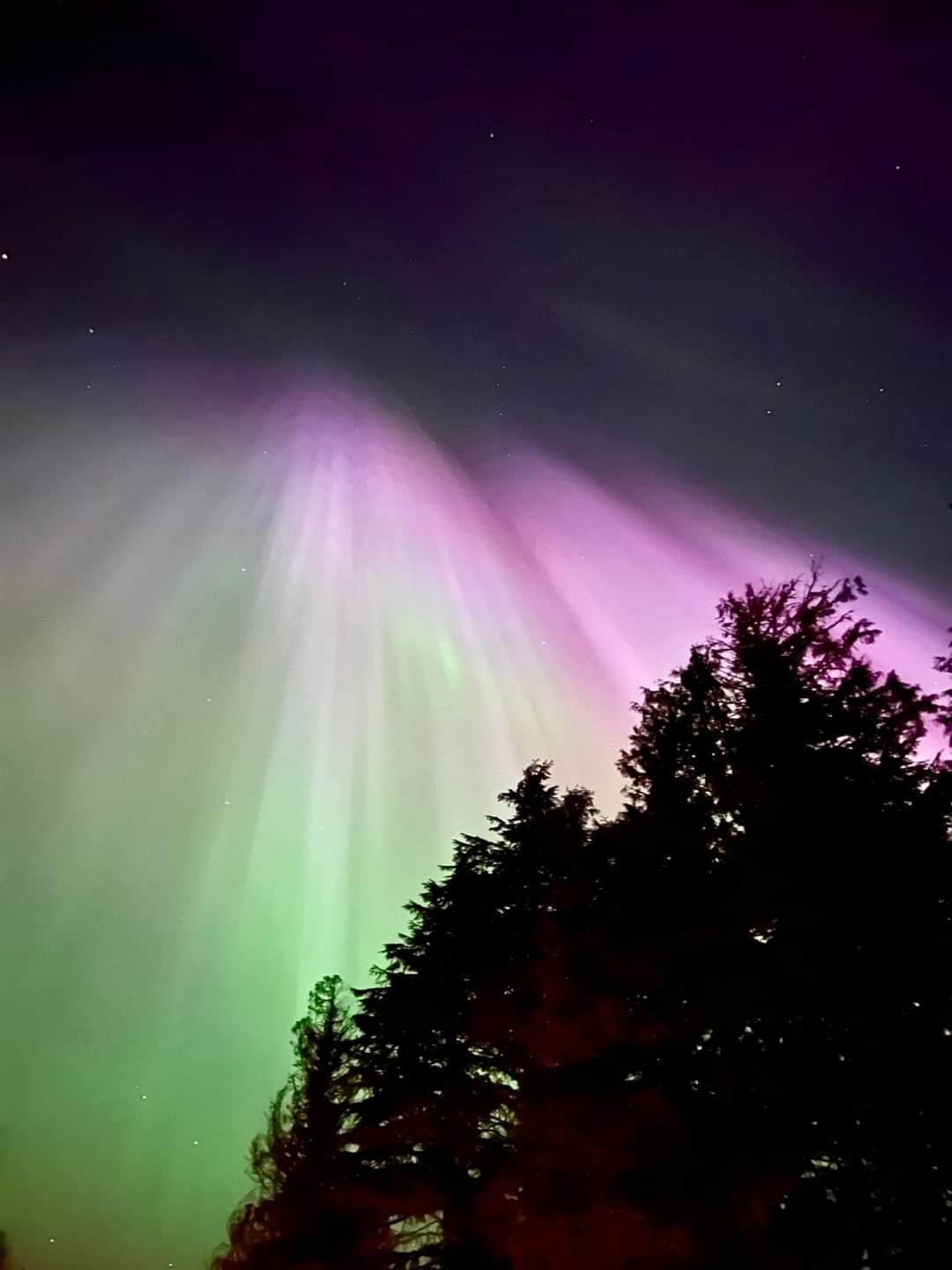 Community photo entitled Celestial Glow from a Heavenly Lamp by Nico Lundborg-Griffith on 05/11/2024 at Bitterrroot Valley, Montana