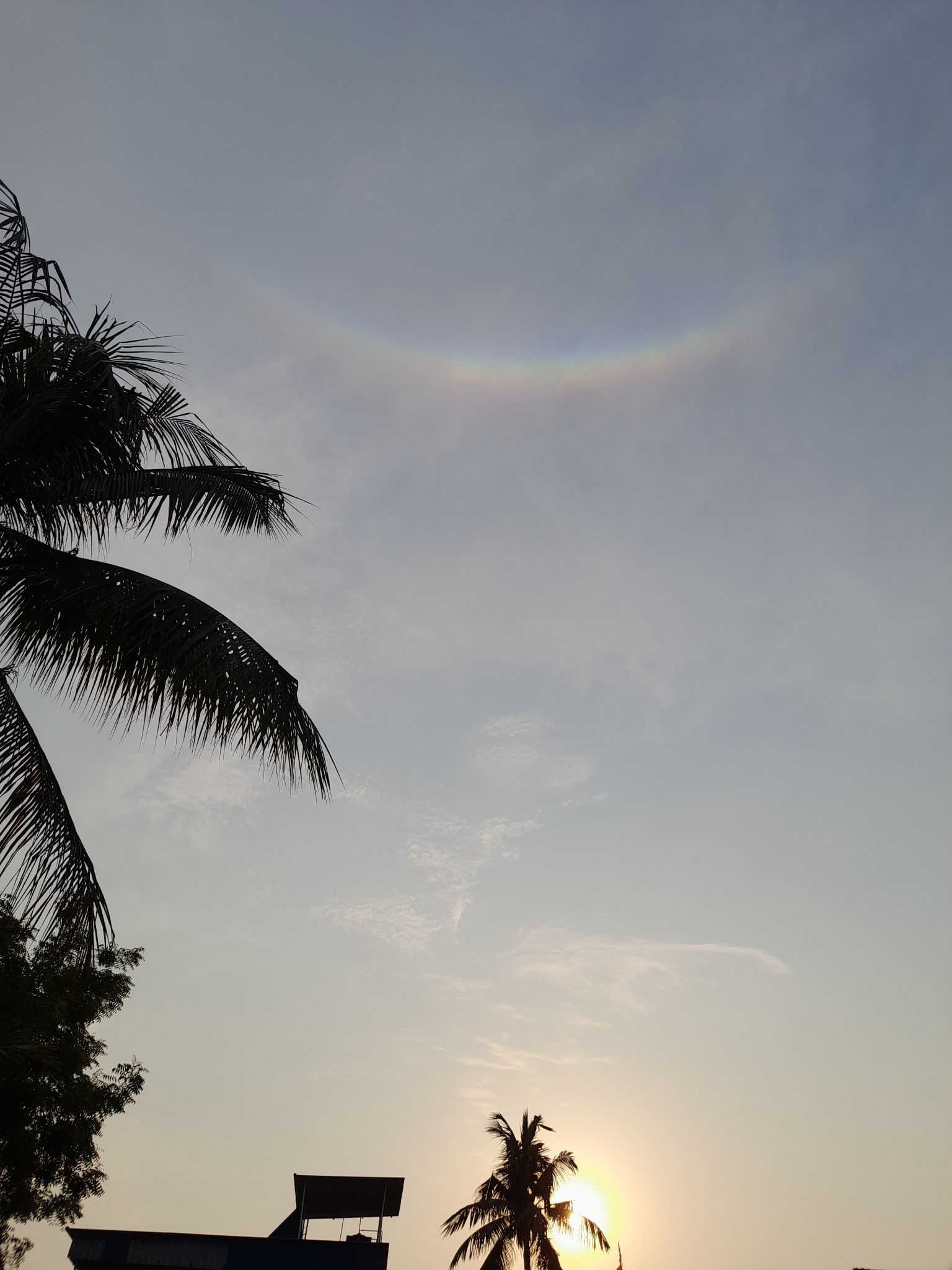 Community photo entitled CIRCUMZENITHAL ARC by Sunanda Laha on 05/20/2024 at Konnagar, West Bengal, India