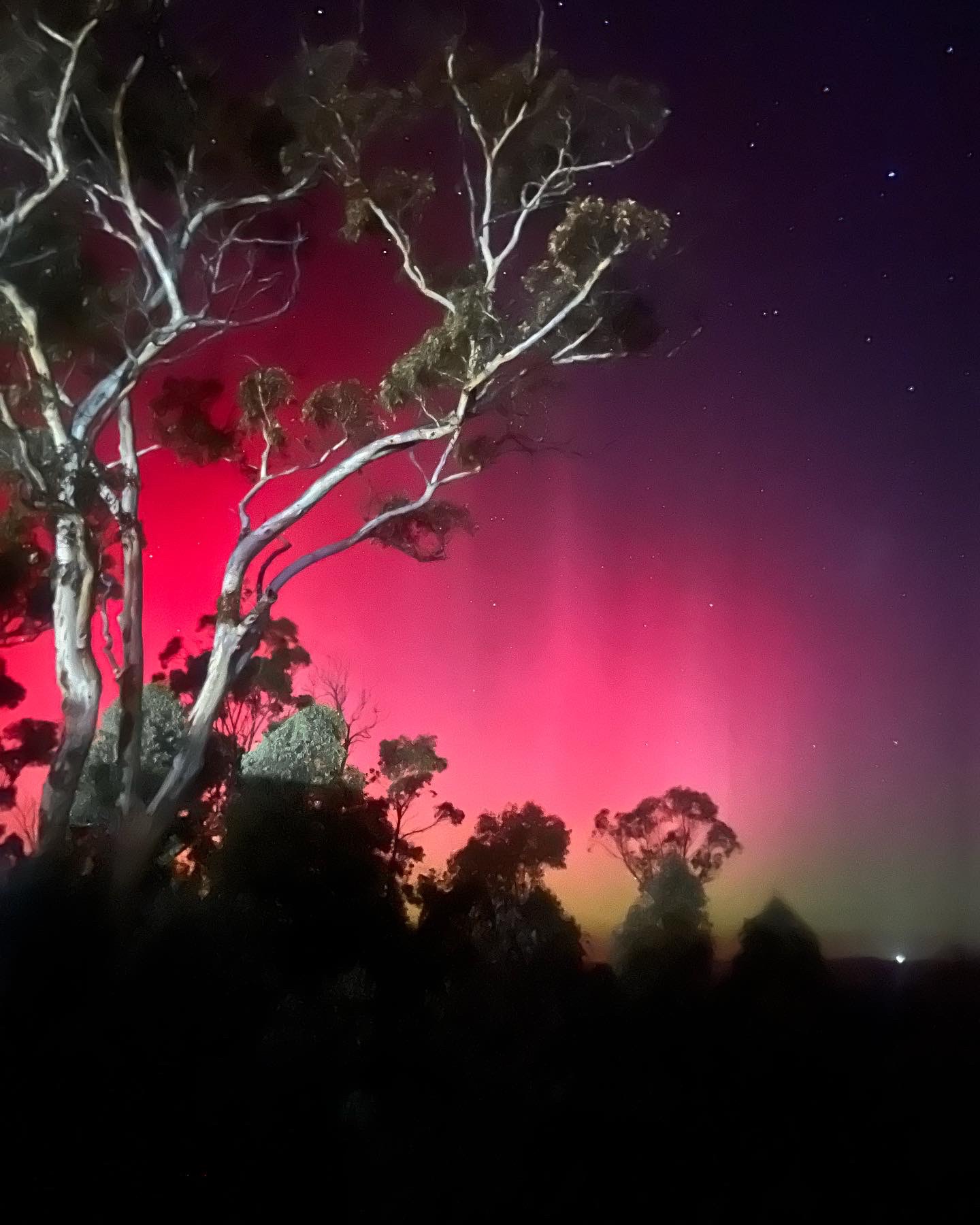 Community photo entitled Aurora Western Australis by Kat Dunn on 05/11/2024 at Perth, WA, Australia