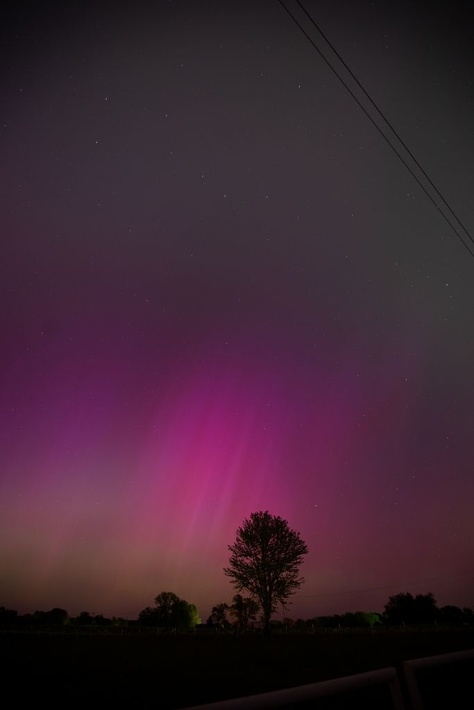 Community photo entitled Lonely Tree by Mike Baxter on 05/10/2024 at Springfield Mo.