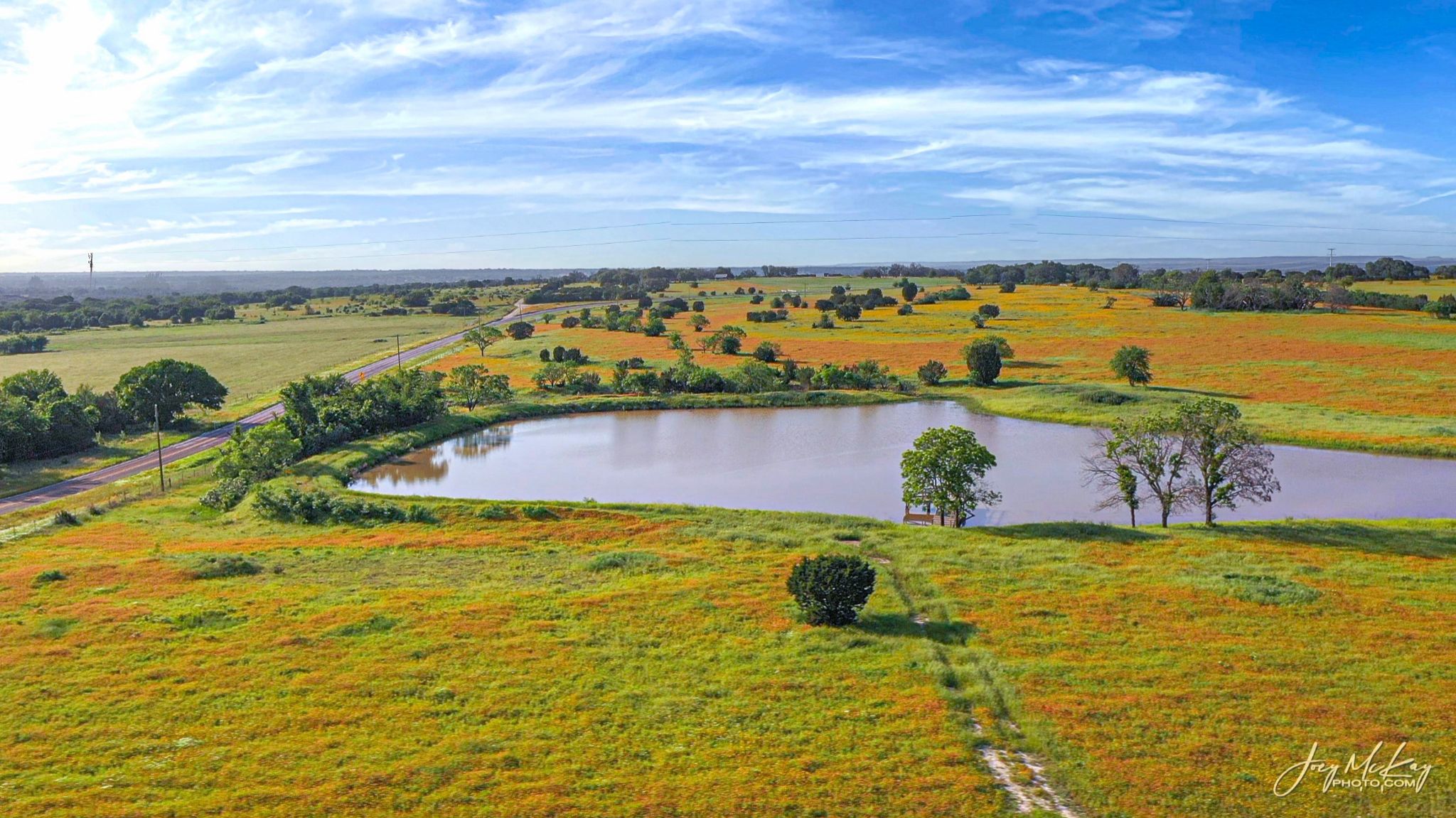 Community photo entitled Wildflowers and stock pond by JOEY MCKAY on 05/07/2024 at Iredell, TX - Bosque County