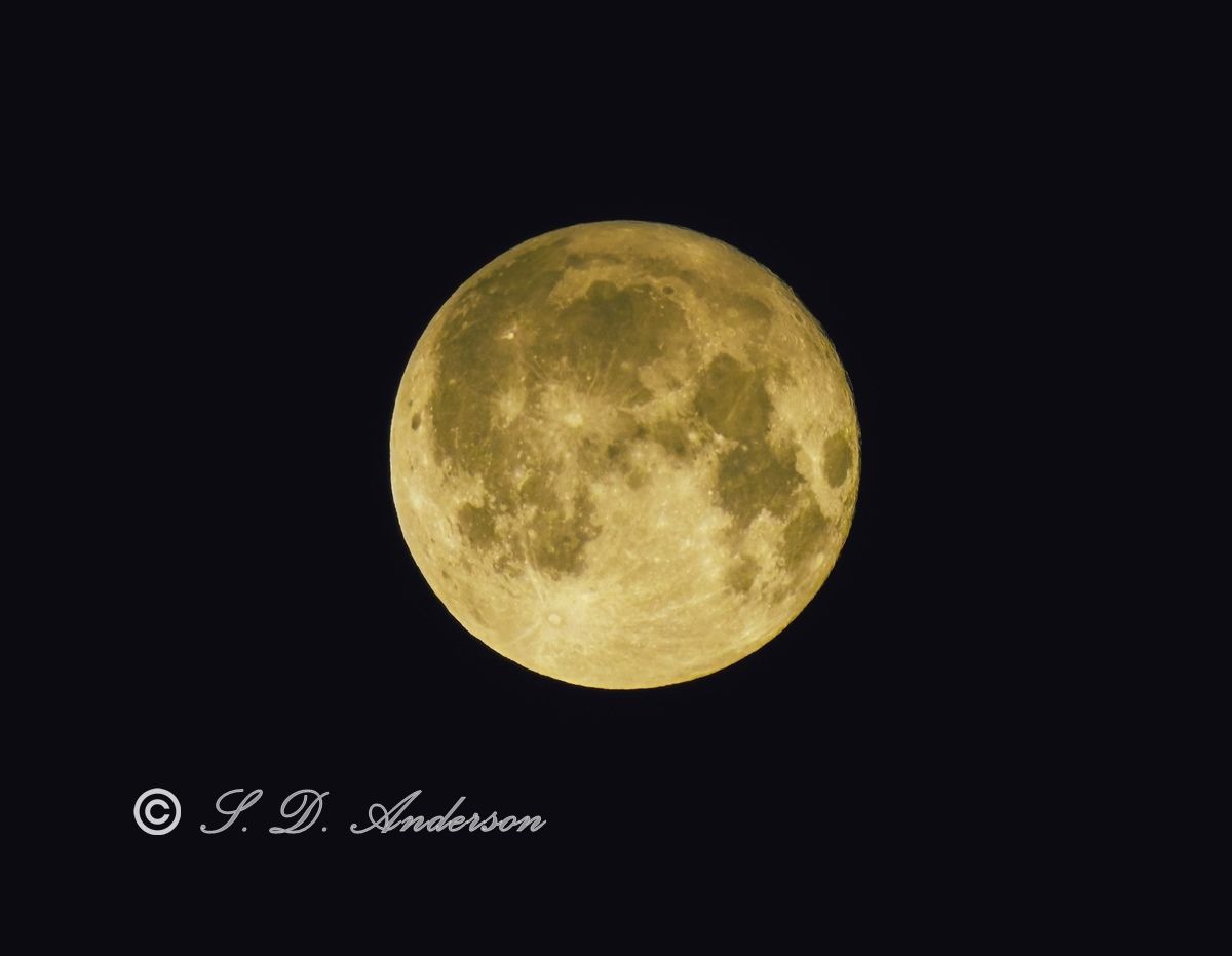 Community photo entitled May Flower Moon by Samantha Anderson on 05/24/2024 at Bulgaria