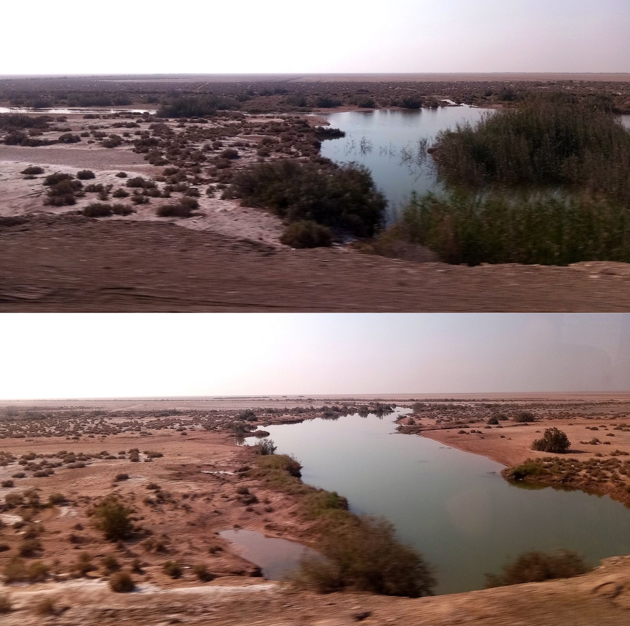 Community photo by Hassan Dadashi . Arani | South Iraq