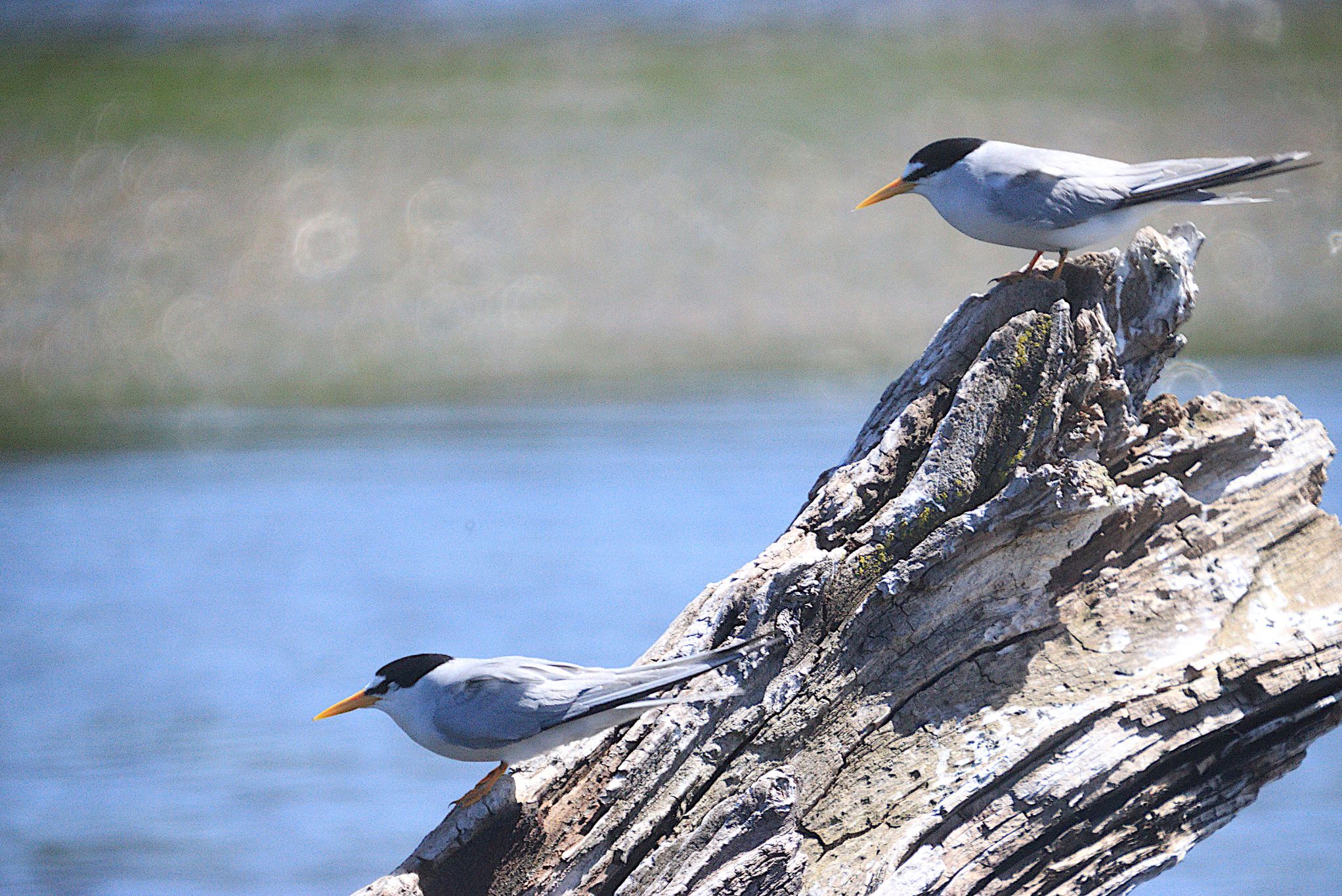 Community photo by Randy Strauss | Walnut Creek Lake, Nebraska