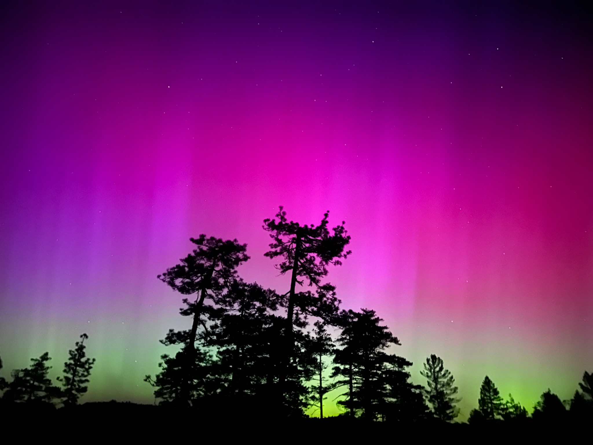 Community photo entitled Aurora over Smith River NRA by Paul Senyszyn on 05/10/2024 at Del Norte county, California, USA