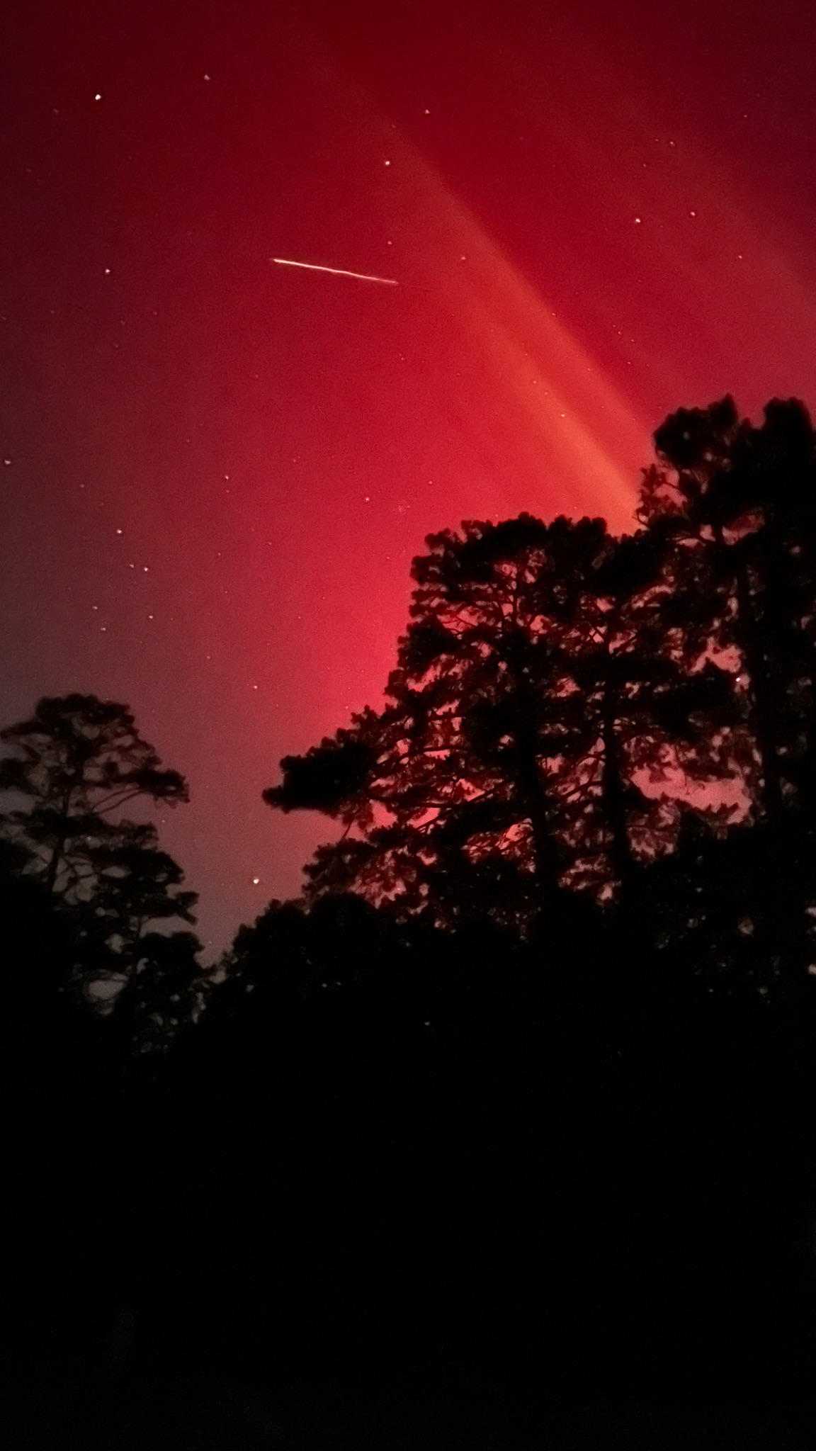 Community photo entitled Aurora in Florida by Mary Duncan on 05/11/2024 at Tallahassee, Florida, US