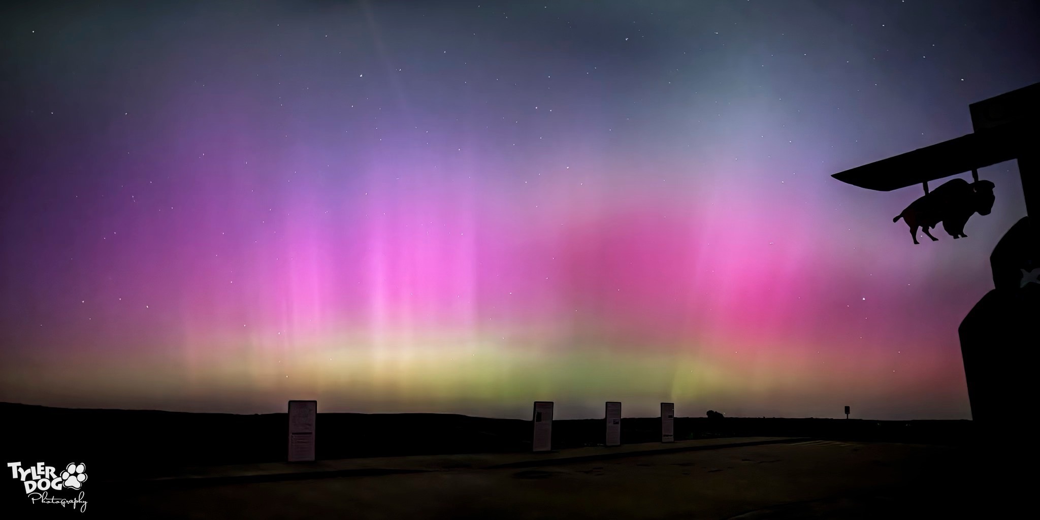 Community photo entitled Bison Aurora Borealis by Sherry Stinson on 05/10/2024 at Pawhuska, OK USA