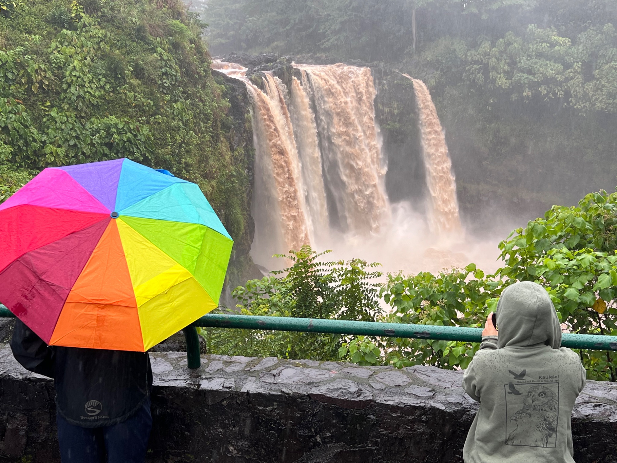 Community photo entitled Rainbow Falls by Paul C. Peh on 05/12/2024 at Hilo, Hawaii, USA