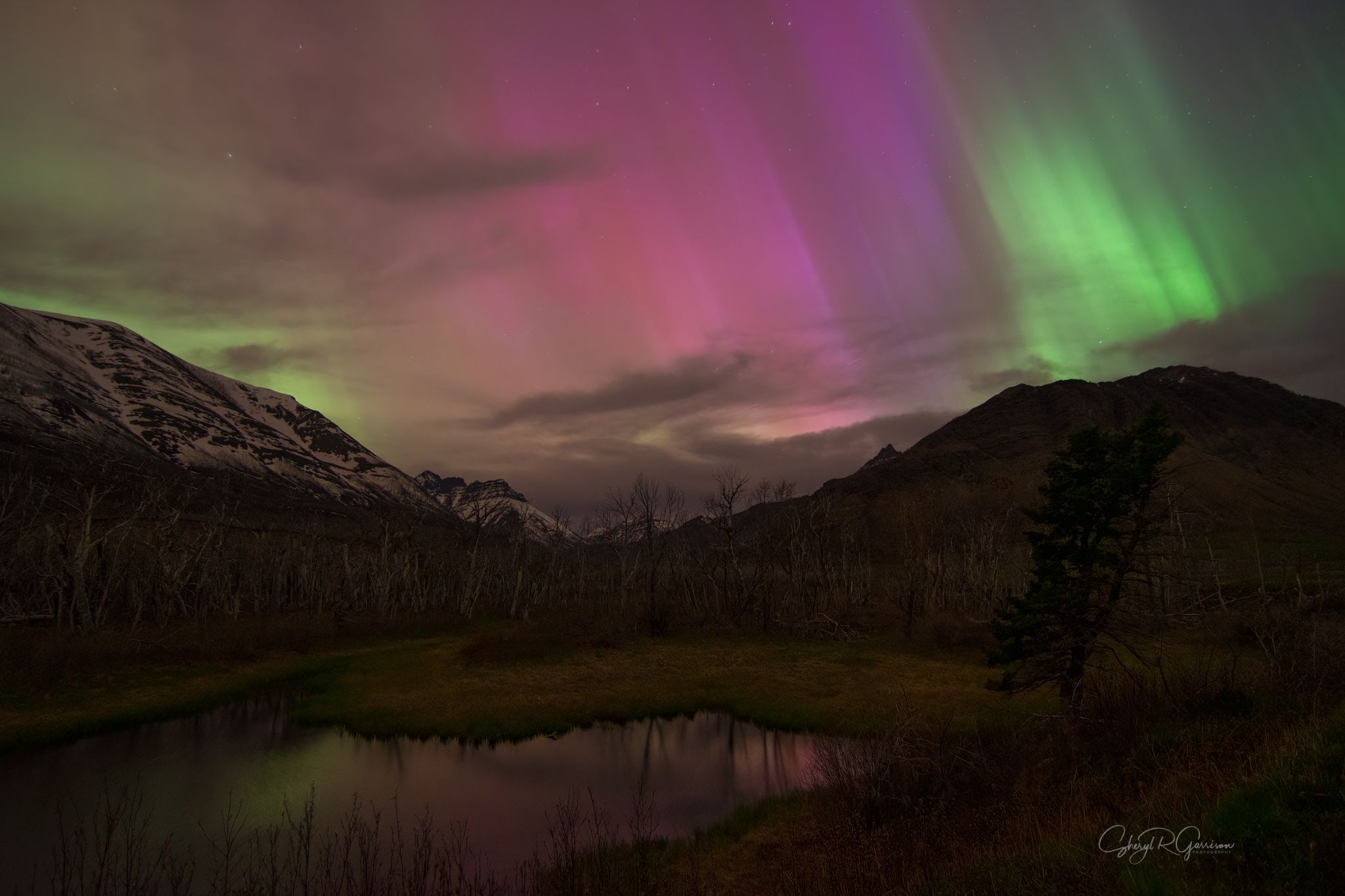Community photo entitled Waterton Park Aurora by Sheryl R Garrison on 05/11/2024 at Waterton Lakes National Park, AB Canada