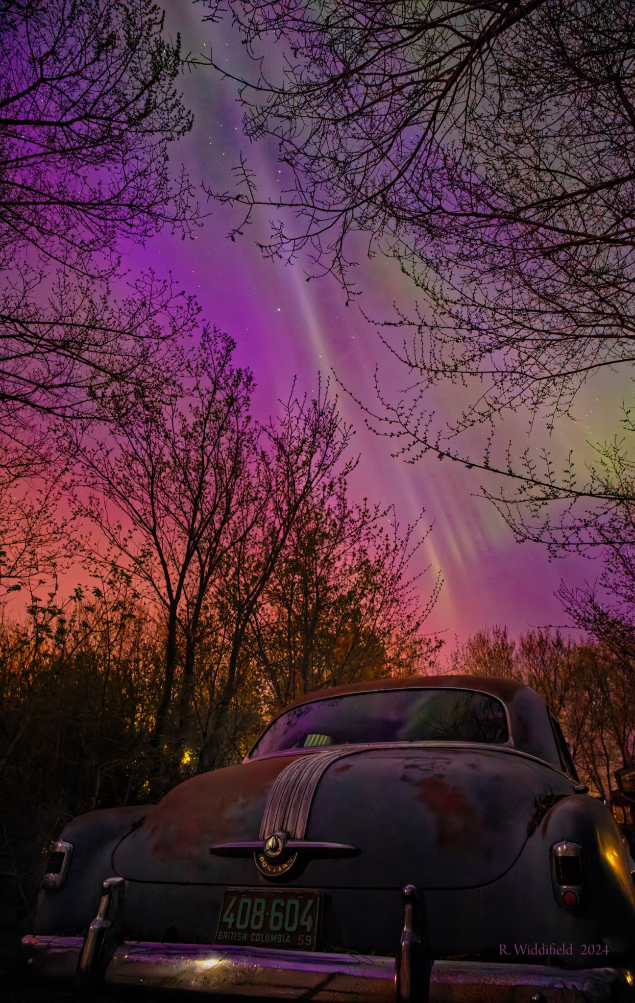 Community photo entitled Purples, Greens and Pontiac by Richard Widdifield on 05/11/2024 at Radisson, Saskatchewan, Canada