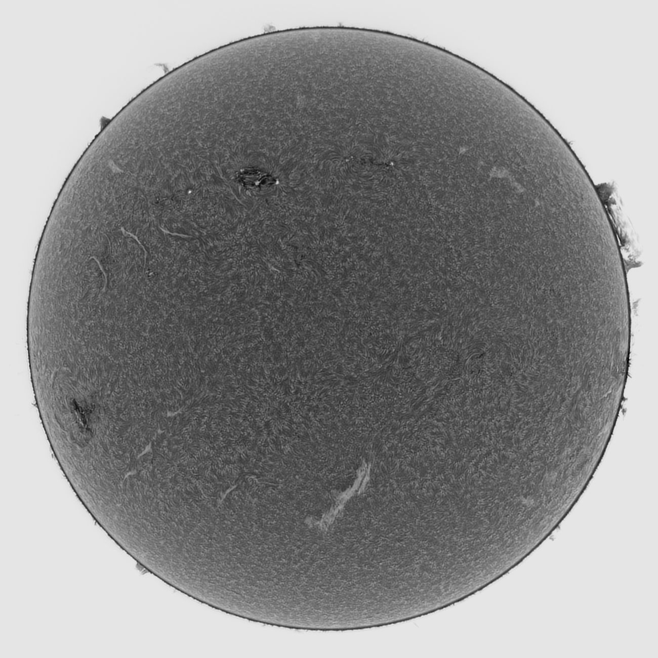 Community photo entitled Hydrogen-alpha image of the sun by Mario Rana on 05/02/2024 at Hampton, Virginia