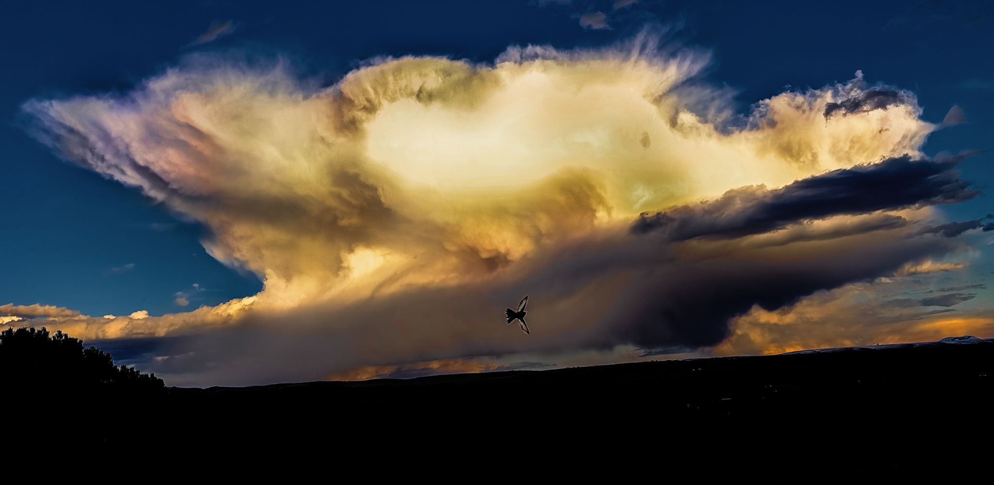 Community photo entitled Hummingbird and Sunset Storm Cloud by Christoph Stopka on 05/13/2024 at Wet Mountain Valley, Colorado  USA