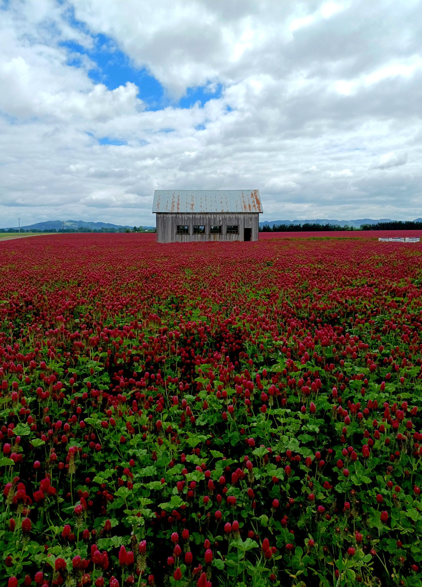 Community photo by Ruben Martinez | Yamhill County, Oregon USA