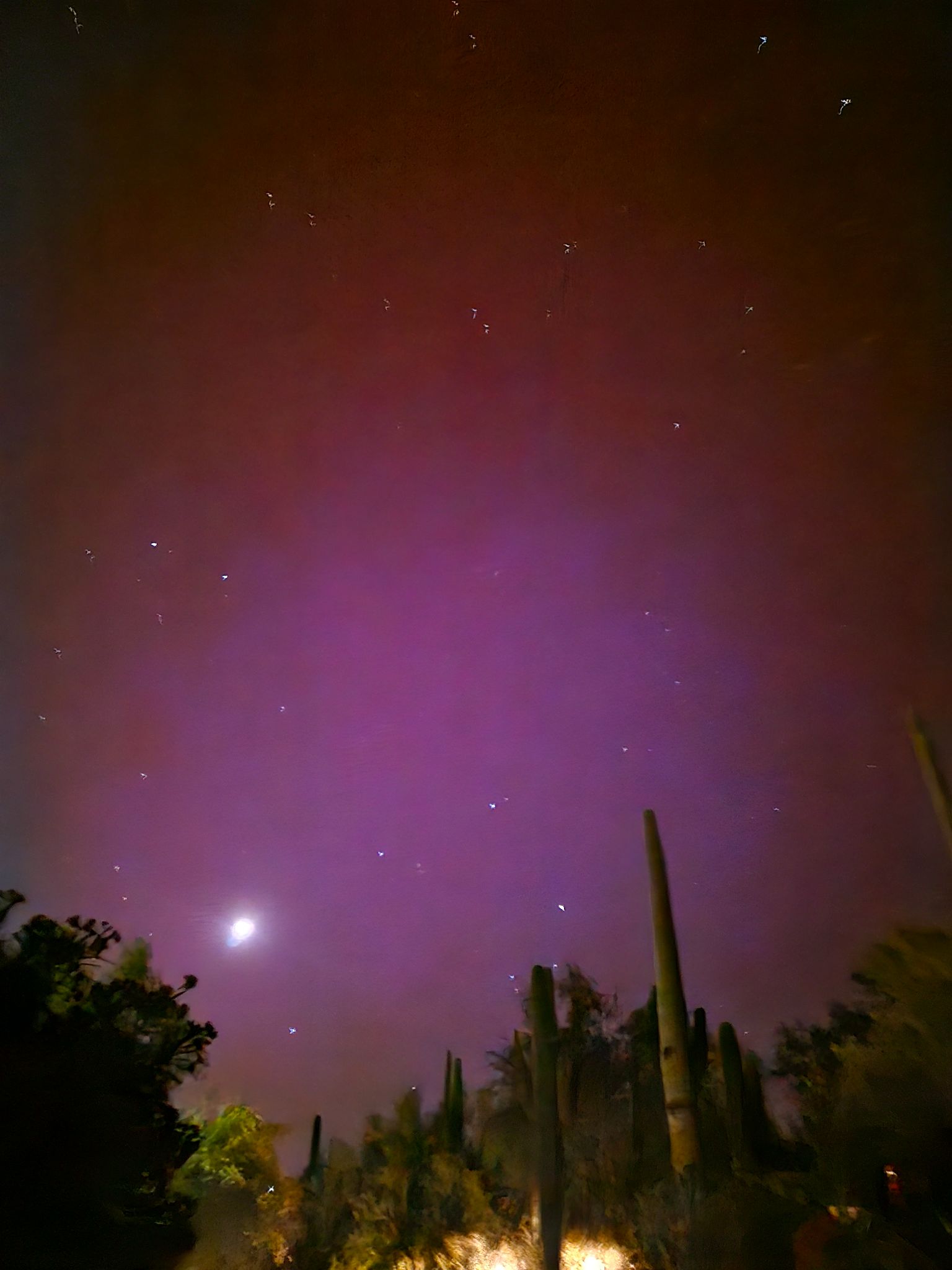 Community photo entitled Back yard by Stephen Kuryla 73 KK6FKD on 05/10/2024 at Cave Creek, AZ, USA