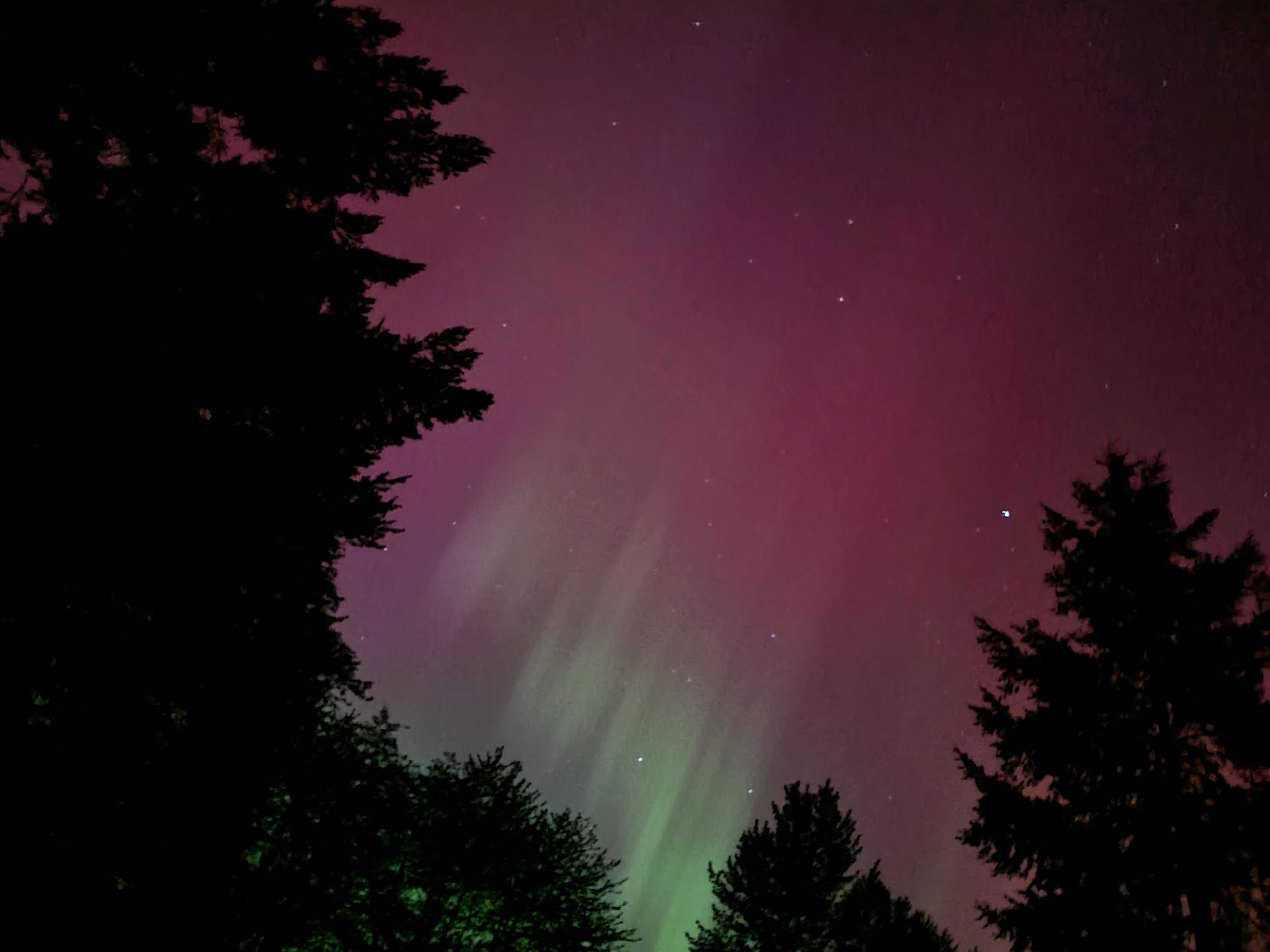 Community photo entitled Aurora by Dawn Hughes on 05/10/2024 at Glenoma,WA USA