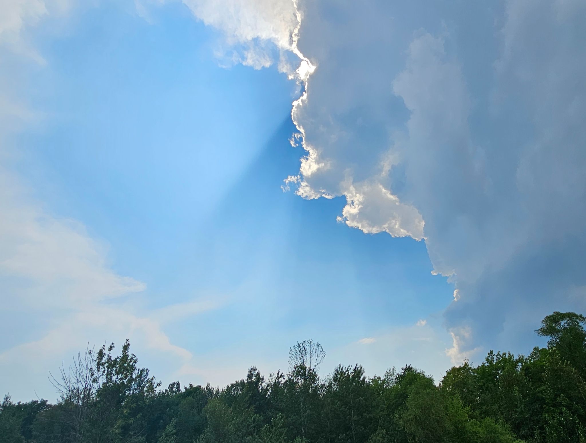 Community photo entitled After the rain.... by Christina Hamm on 06/18/2024 at My backyard.  Waubashene Ontario, Canada