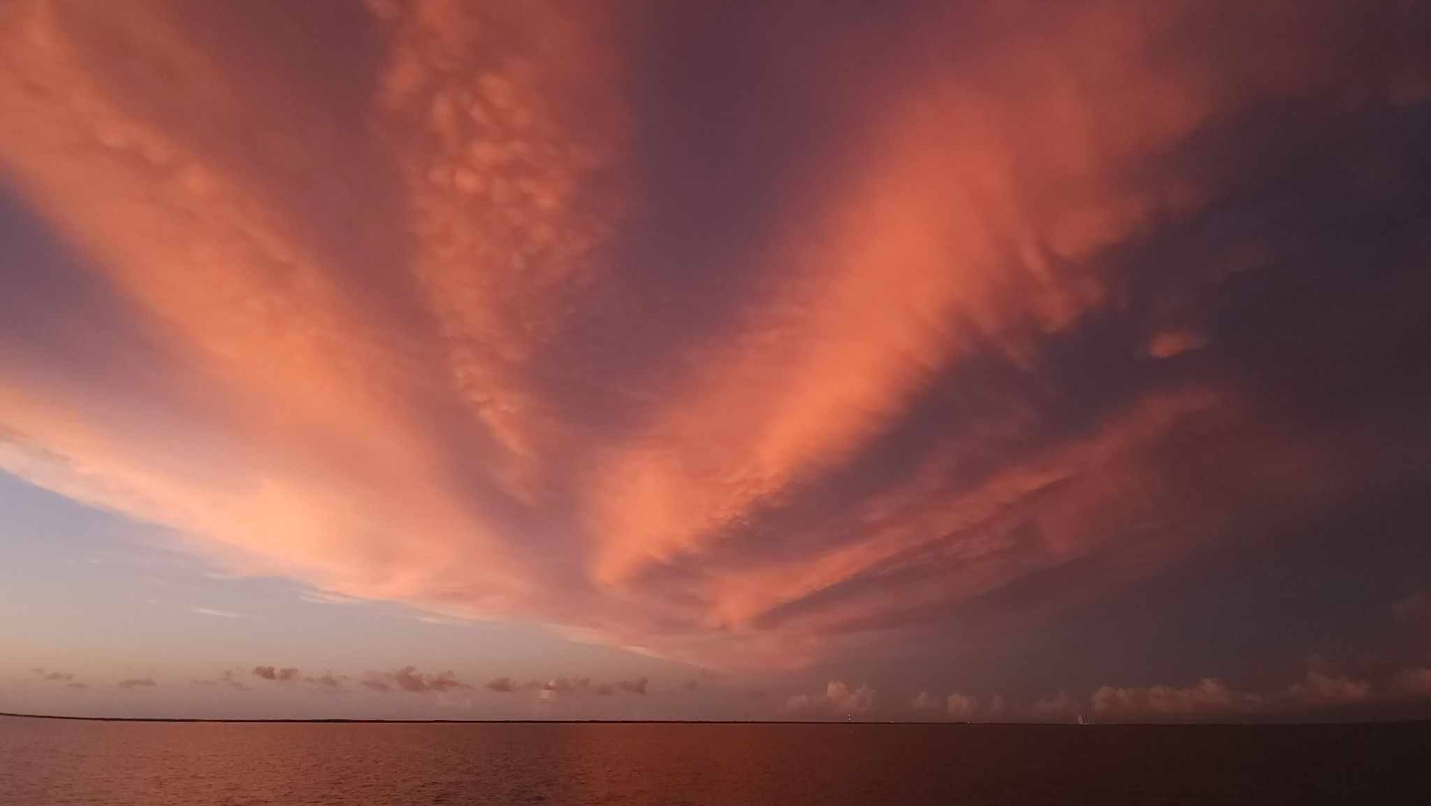 Community photo entitled Flower in the sky by Thuan Clavet on 06/14/2024 at Titusville, Florida, USA