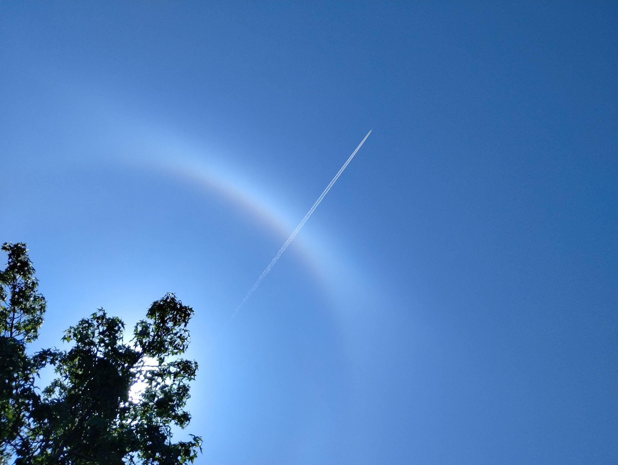 Community photo entitled Solar Halo with Con Trail by Mark Kauffman on 06/11/2024 at Indianapolis IN, USA