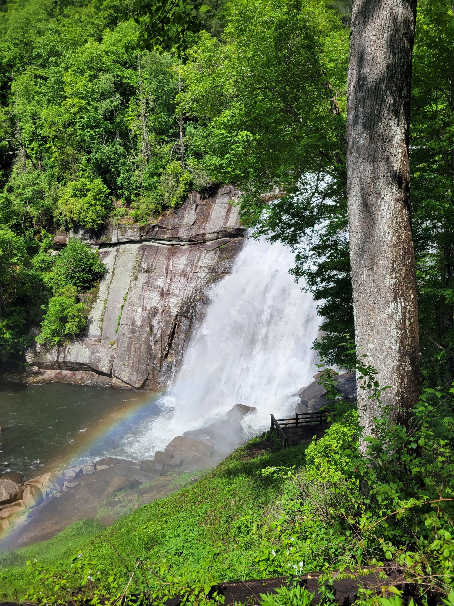 Community photo entitled Rainbow at Rainbow Falls. by Nancy Kneepkens on 05/17/2024 at Gorges State Park, NC. Rainbow Falls with rainbow.