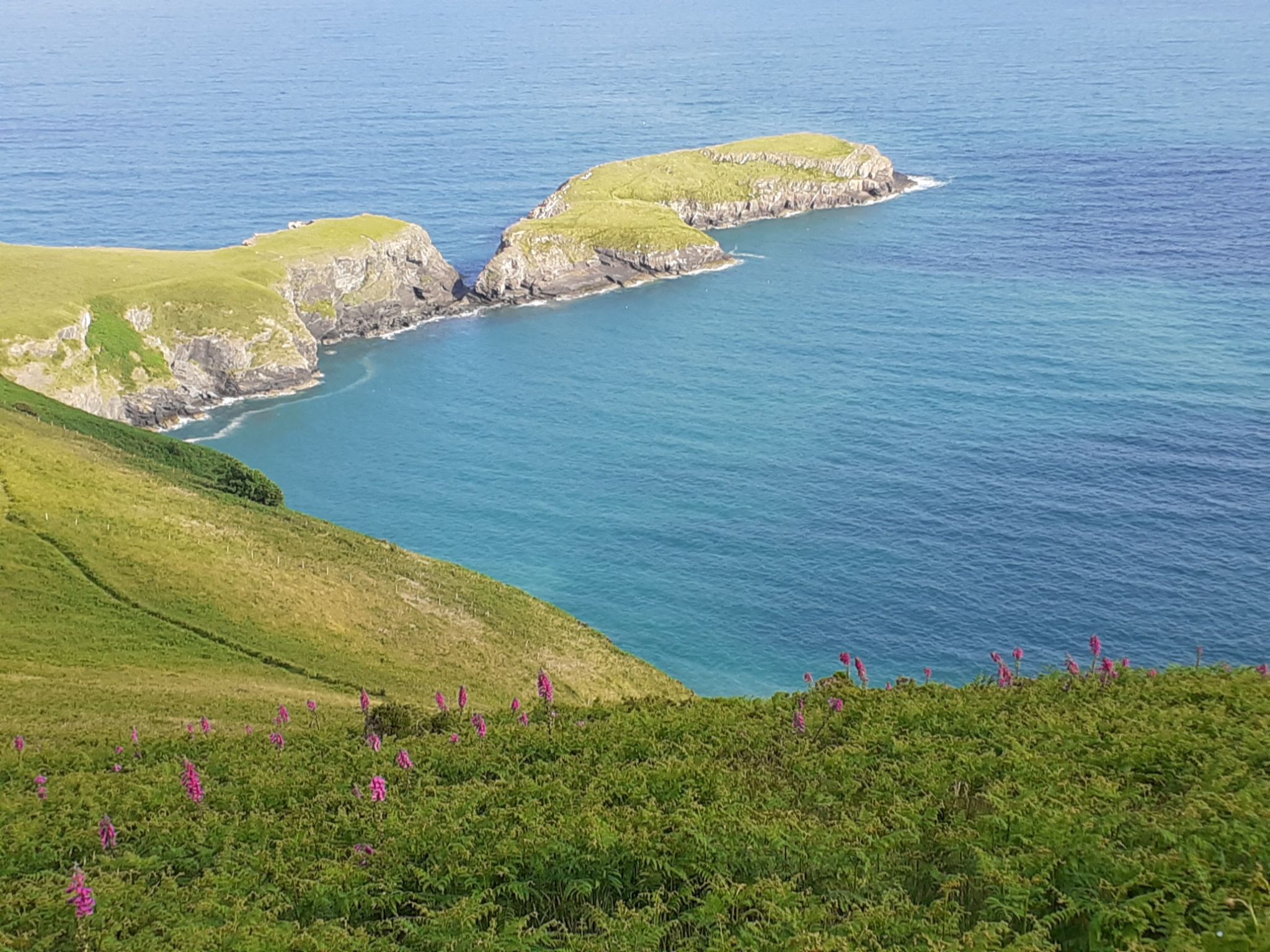 Community photo by Anne Read | Llangrannog west wales coastal walk.