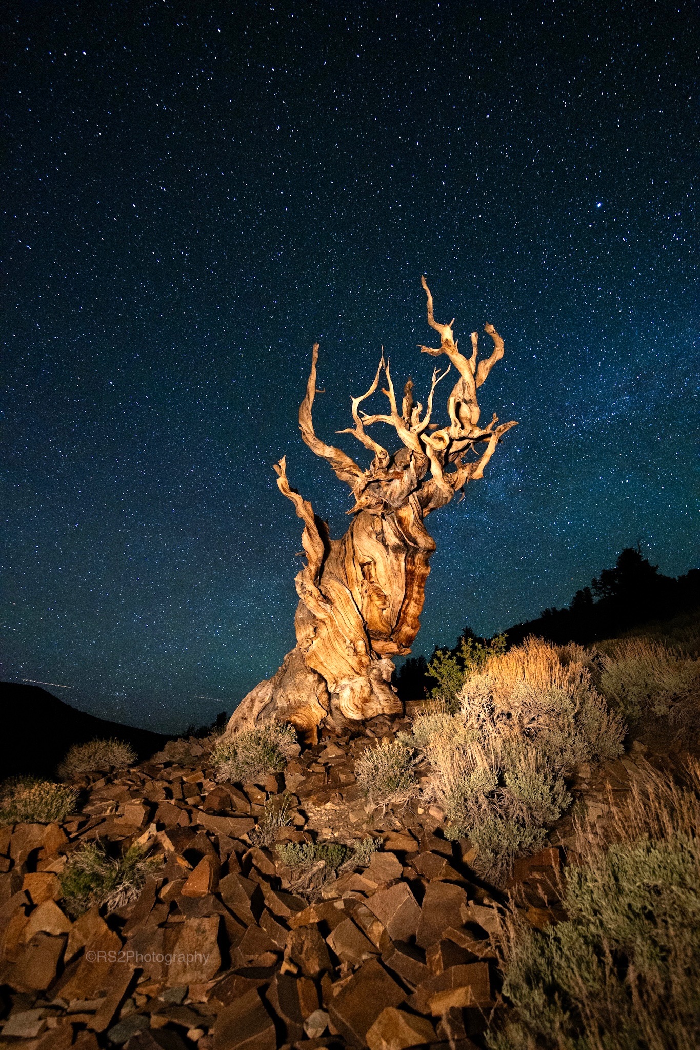 Community photo entitled Gnarly Night by Ross Stone on 06/02/2024 at Bishop, CA, USA