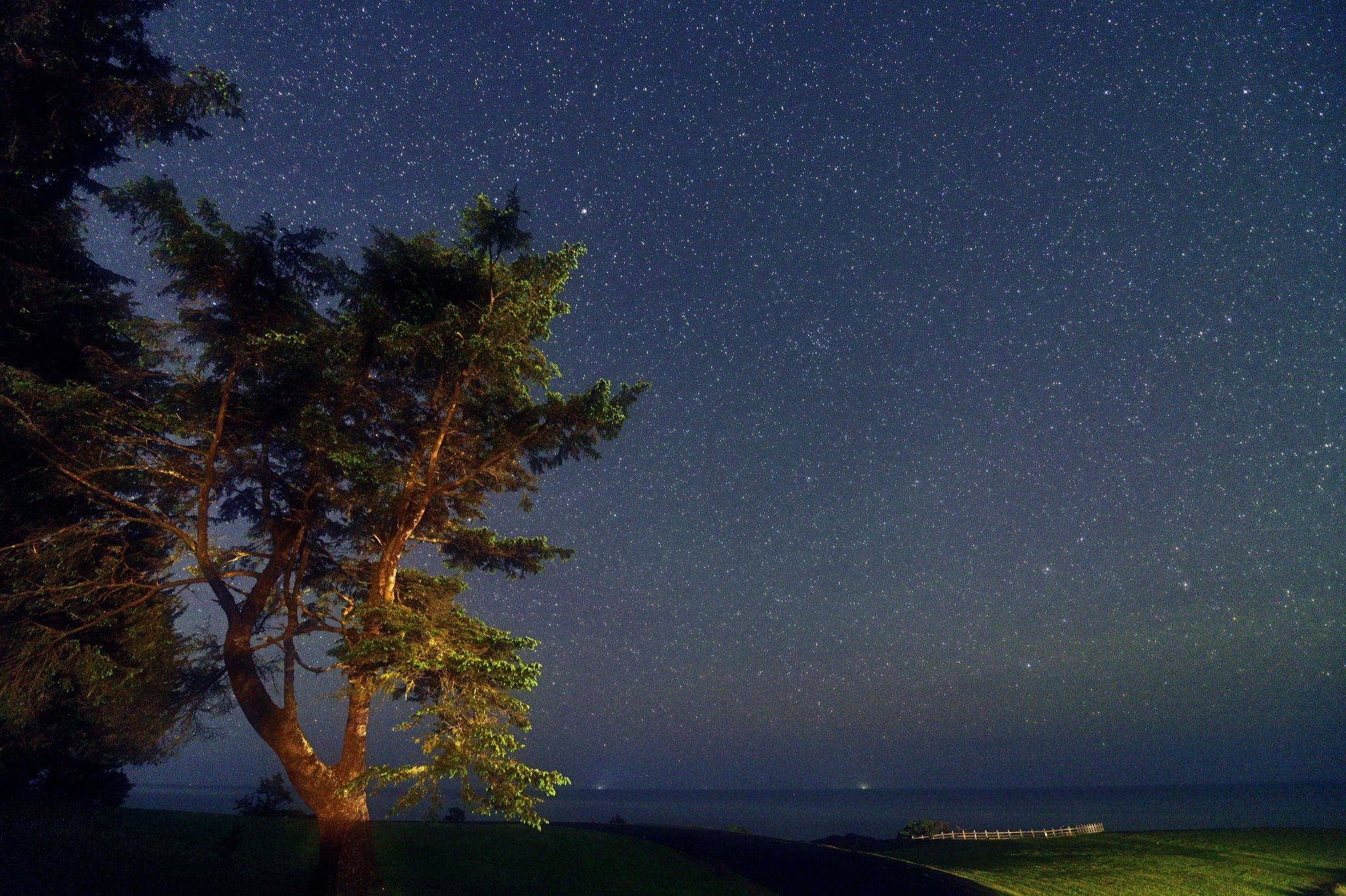 Community photo entitled Myriad Stars by Cecille Kennedy on 05/31/2024 at Depoe Bay, Oregon