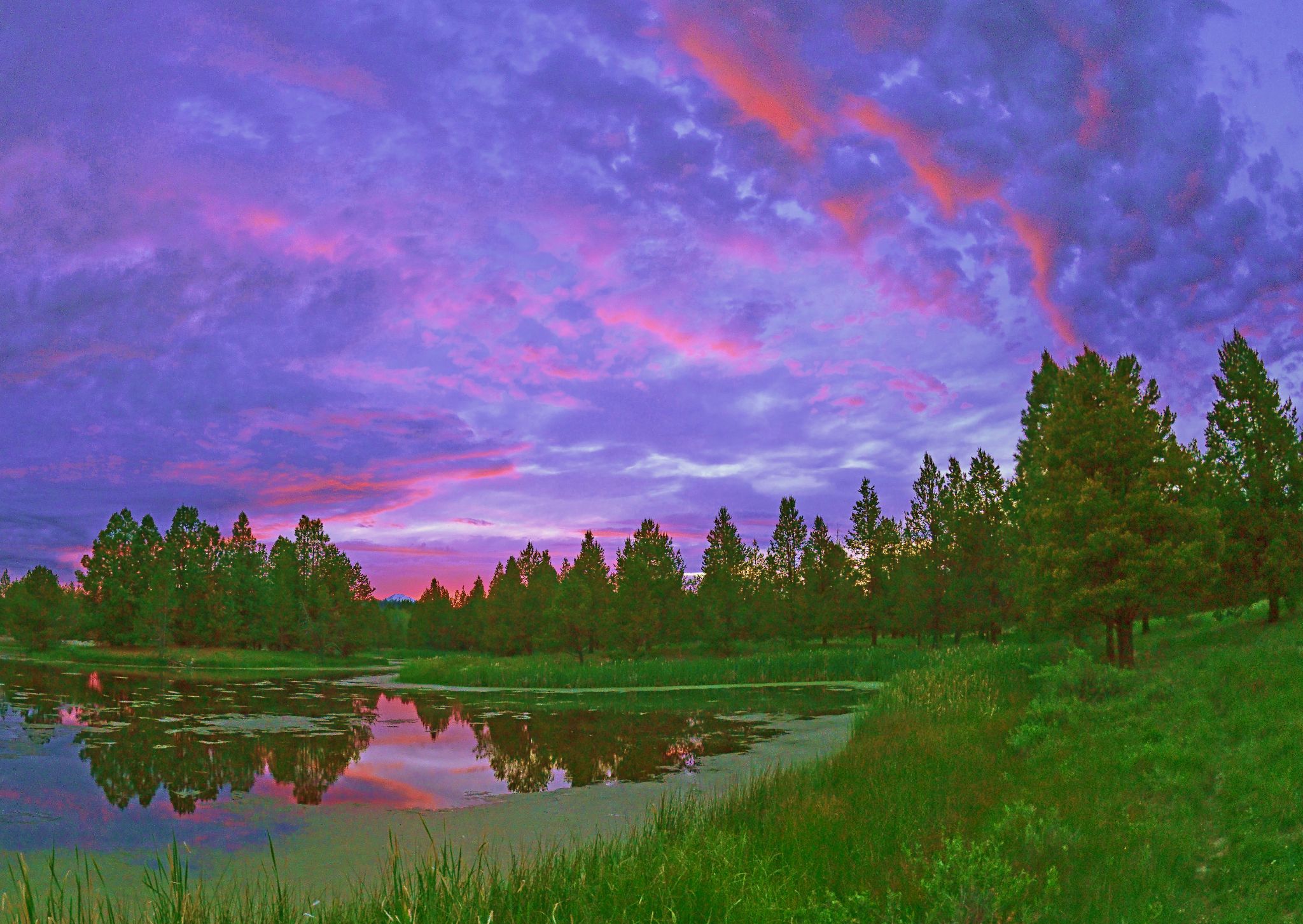 Community photo entitled Day End by Cecille Kennedy on 06/08/2024 at Sunriver, Oregon