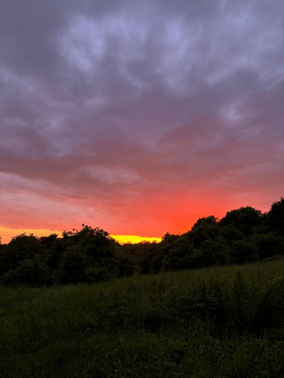 Community photo entitled Amazing sky. by Olivia Read on 05/30/2024 at Upholland Lancashire England