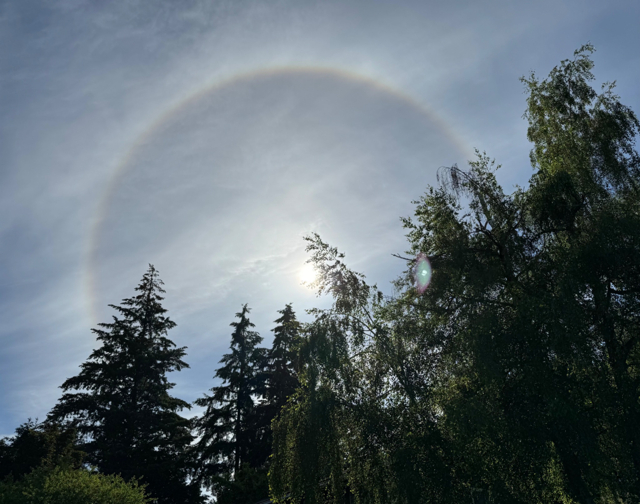 Community photo entitled Solar Ring by Cathy Burnell on 06/06/2024 at Bellevue, Washington USA