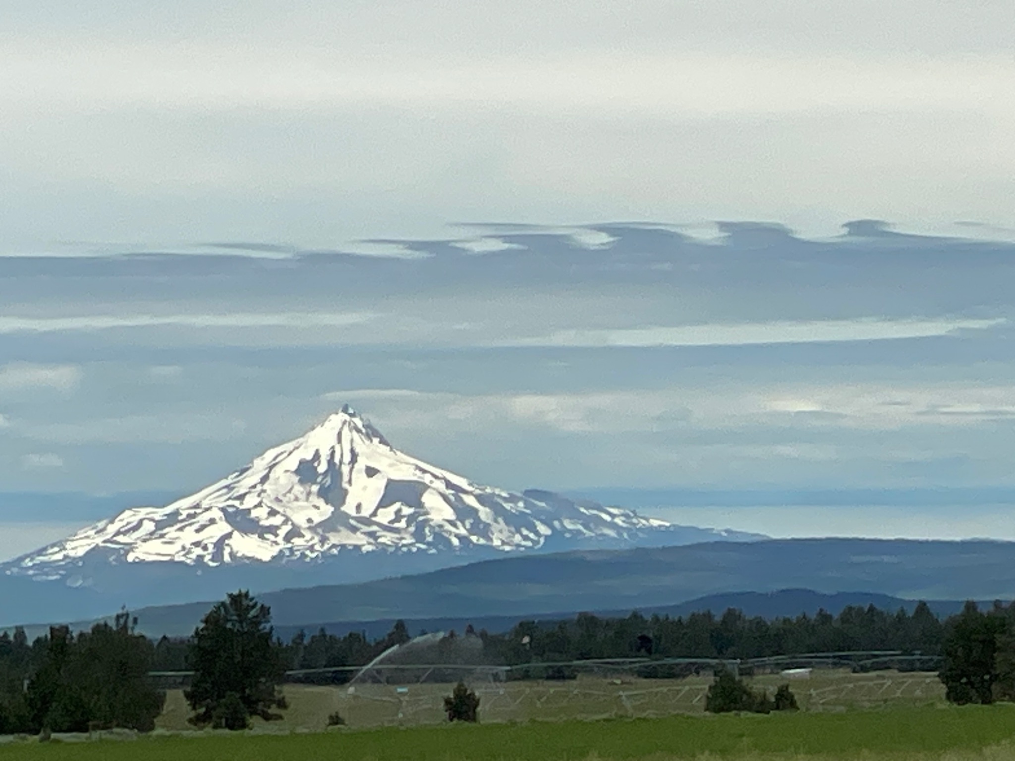 Community photo entitled Mt. Hood in the morning by Lorie Bartee on 06/29/2024 at Near Sisters, Oregon, USA