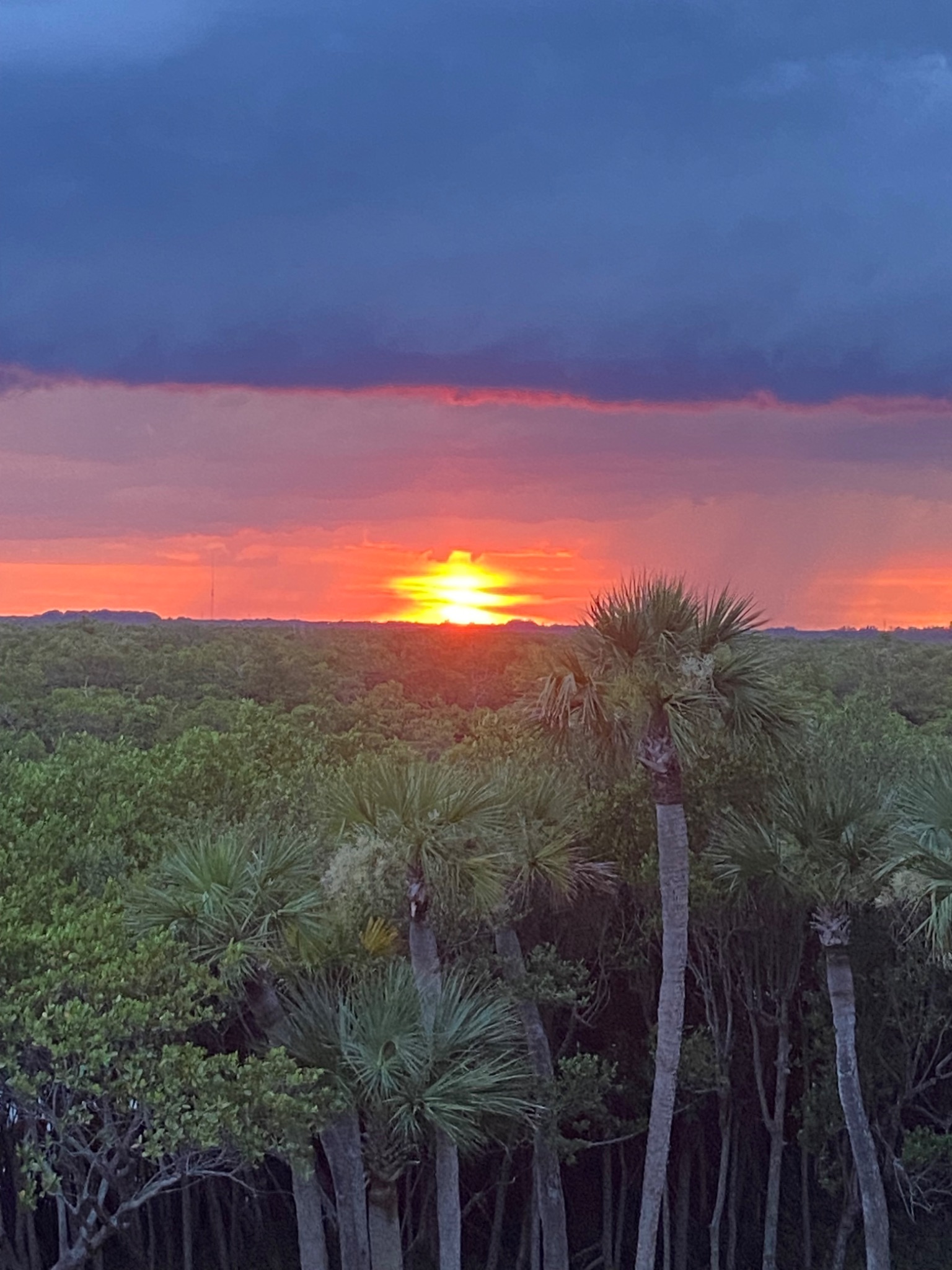 Community photo entitled The Brilliance Before The Storm by Susan Greive on 06/27/2024 at Hutchinson Island, Florida