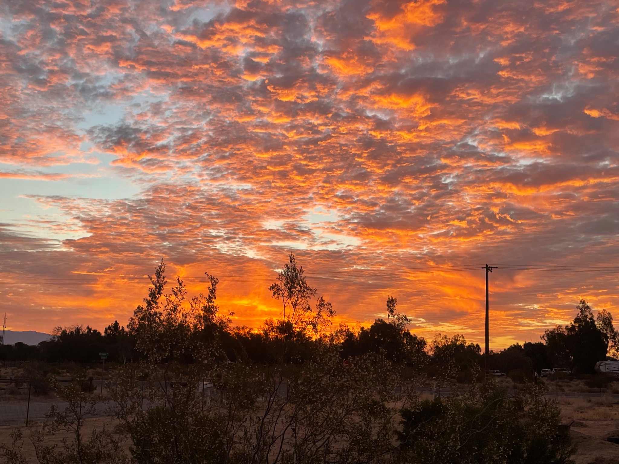 Community photo by Gail Stabe | Inyokern, CA