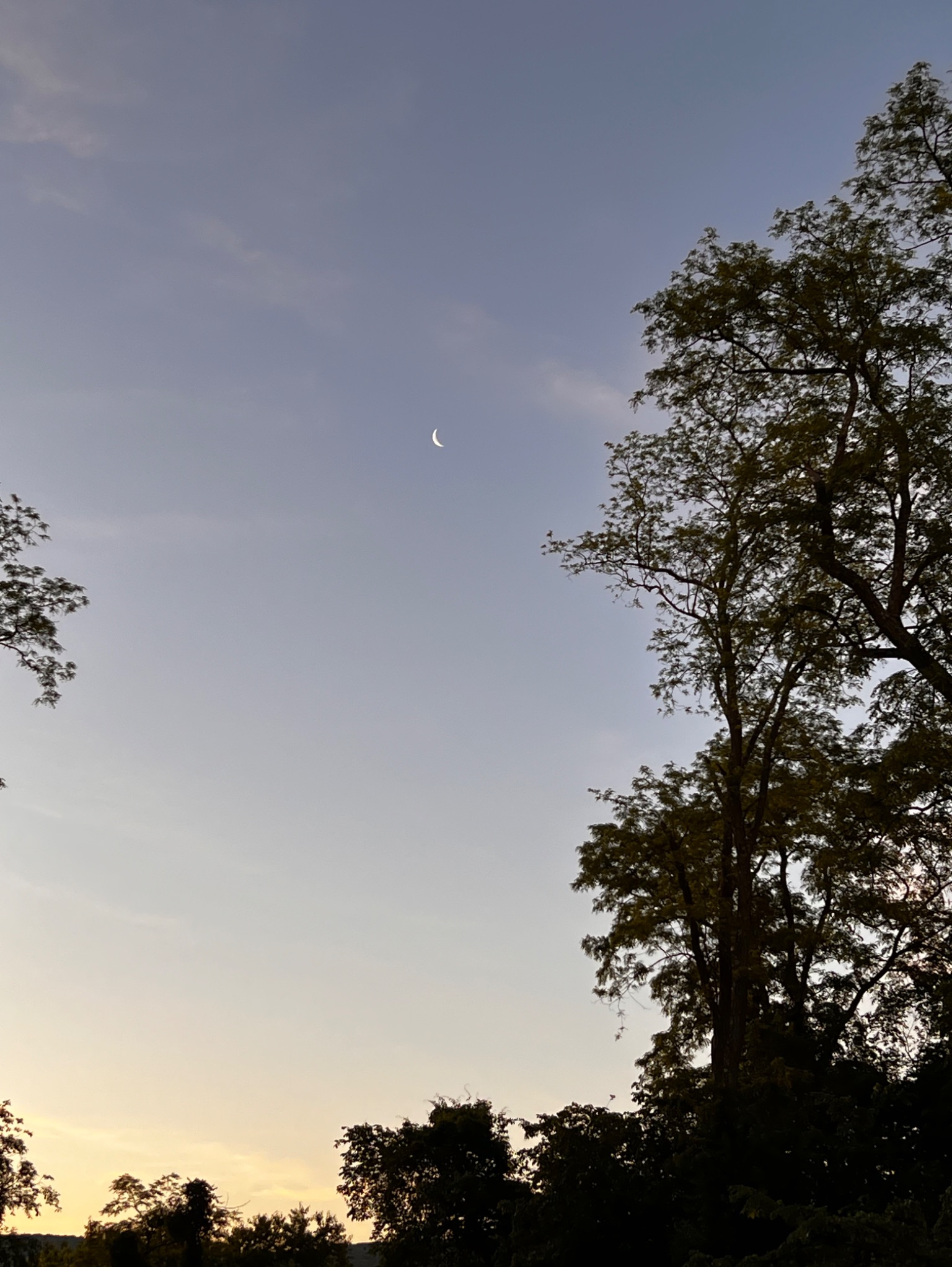 Community photo entitled Crescent Moon by Sudhir Sharma on 06/02/2024 at Stormville, NY