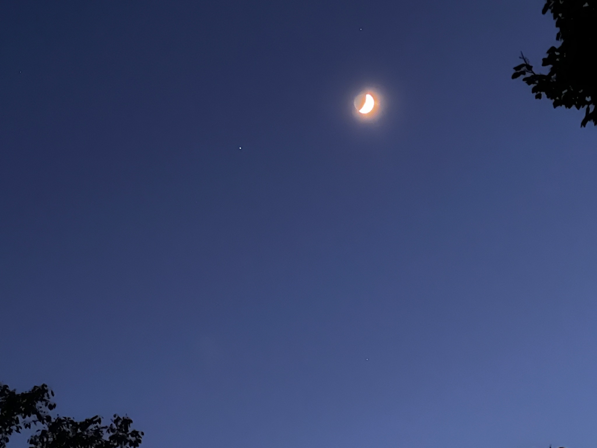 Community photo entitled Regulus and Crescent Moon by Sudhir Sharma on 06/11/2024 at Stormville, NY