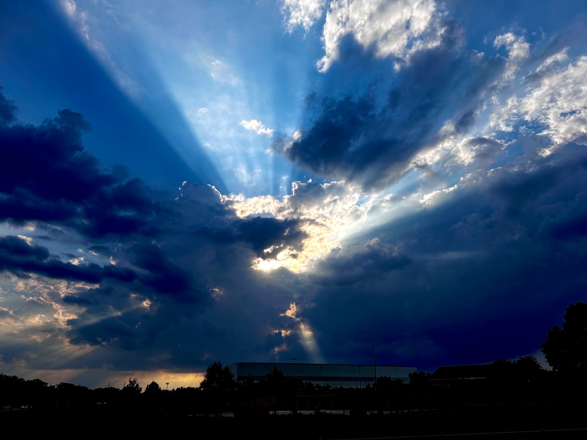 Community photo entitled Nature’s Spotlight by Tana Congi on 06/29/2024 at Houston, TX