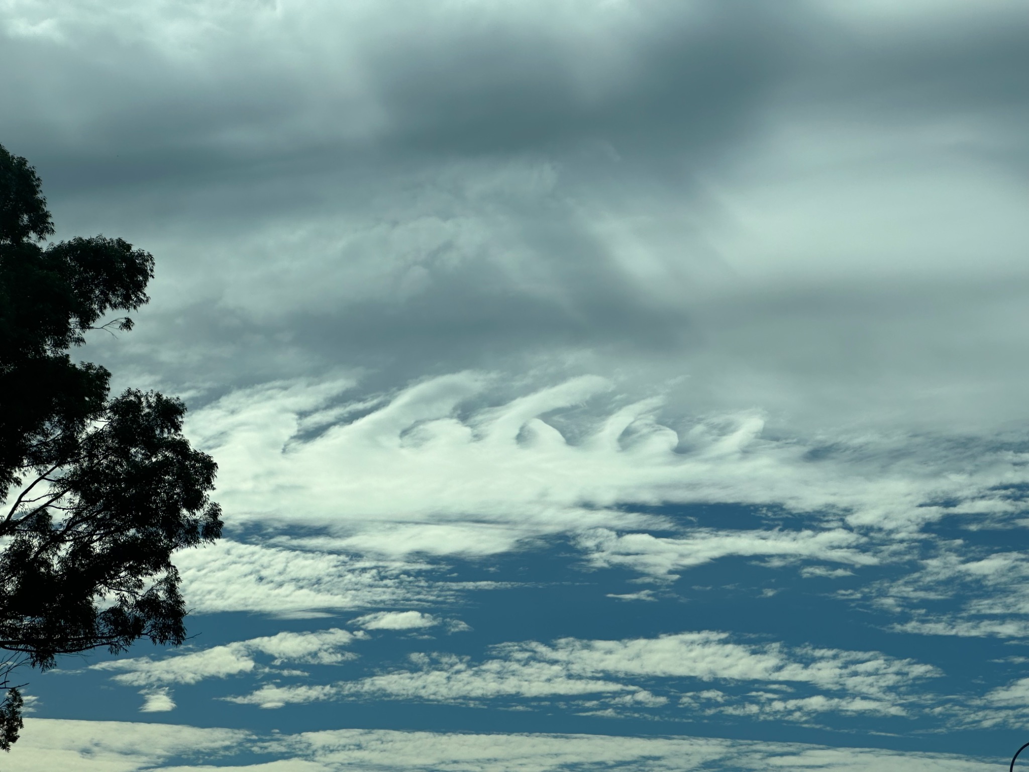 Community photo entitled Once in a lifetime for me by Stephanie Turkich on 06/21/2024 at Sippy Downs, QLD