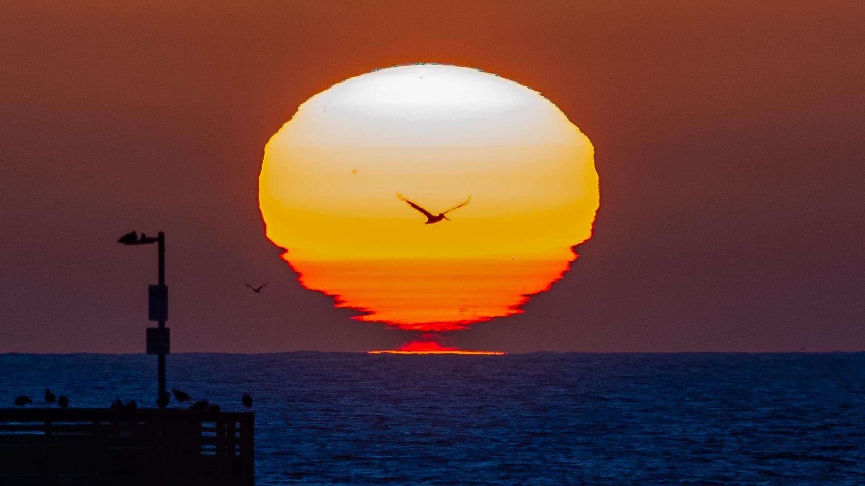 Community photo entitled Pelican sunset by Jim Grant on 06/22/2024 at San Diego, CA, USA