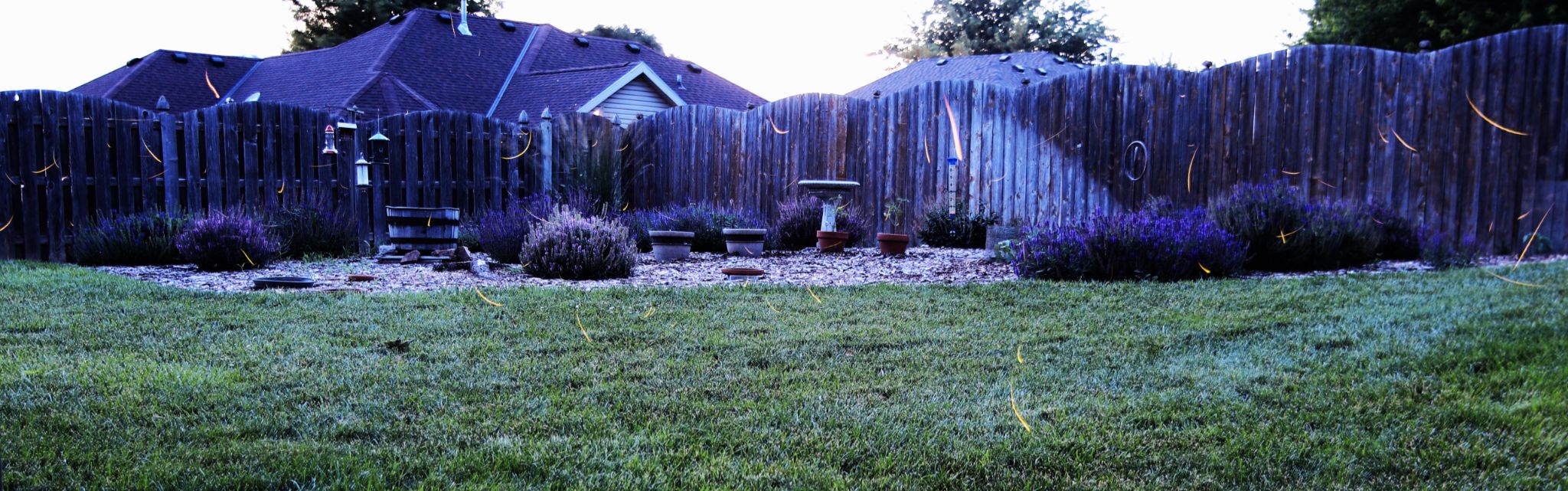 Community photo entitled Lightning bugs at sundown by Randy Strauss on 06/20/2024 at Suburban Omaha Nebraska