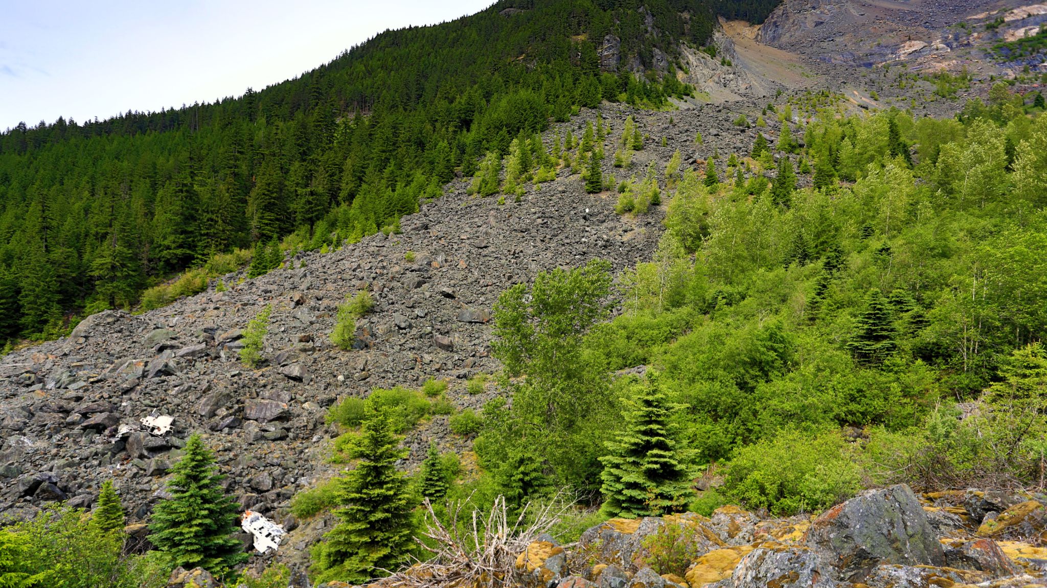 Community photo entitled RCAF Grumman CSR-110 Albatross Crash Site, Hope Slide, BC, Canada by Paul C. Peh on 06/29/2024 at Hope, British Columbia, Canada