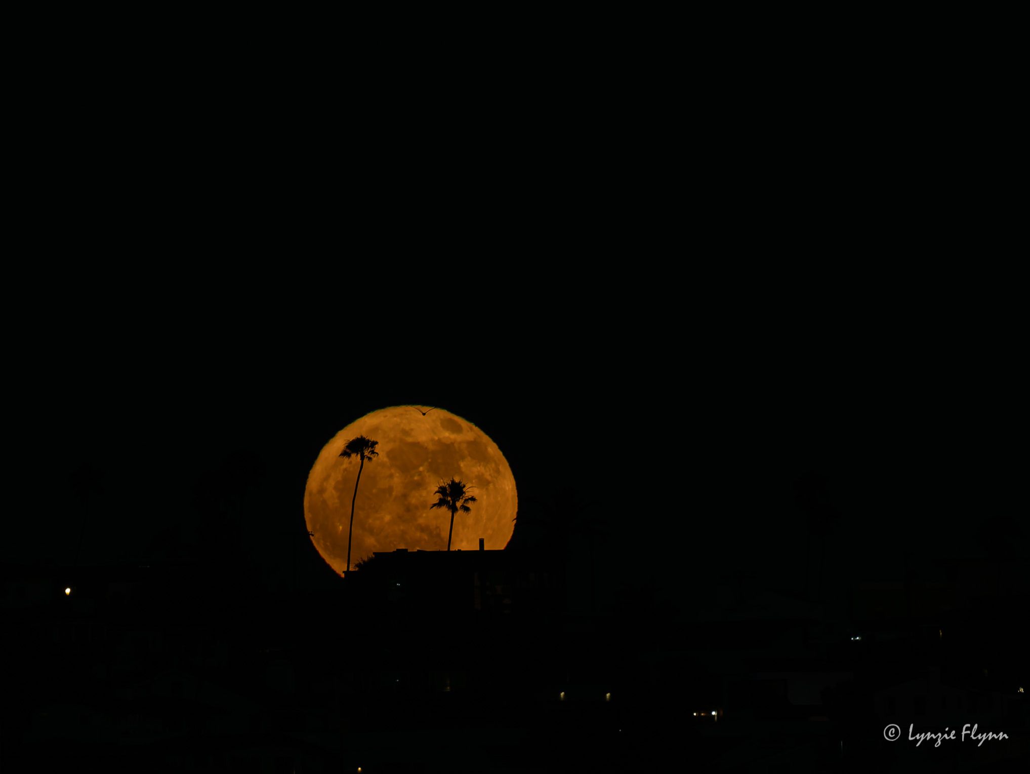 Community photo entitled Summer Soltice Strawberry Moon by Lynzie Flynn on 06/21/2024 at Marina del Rey, California