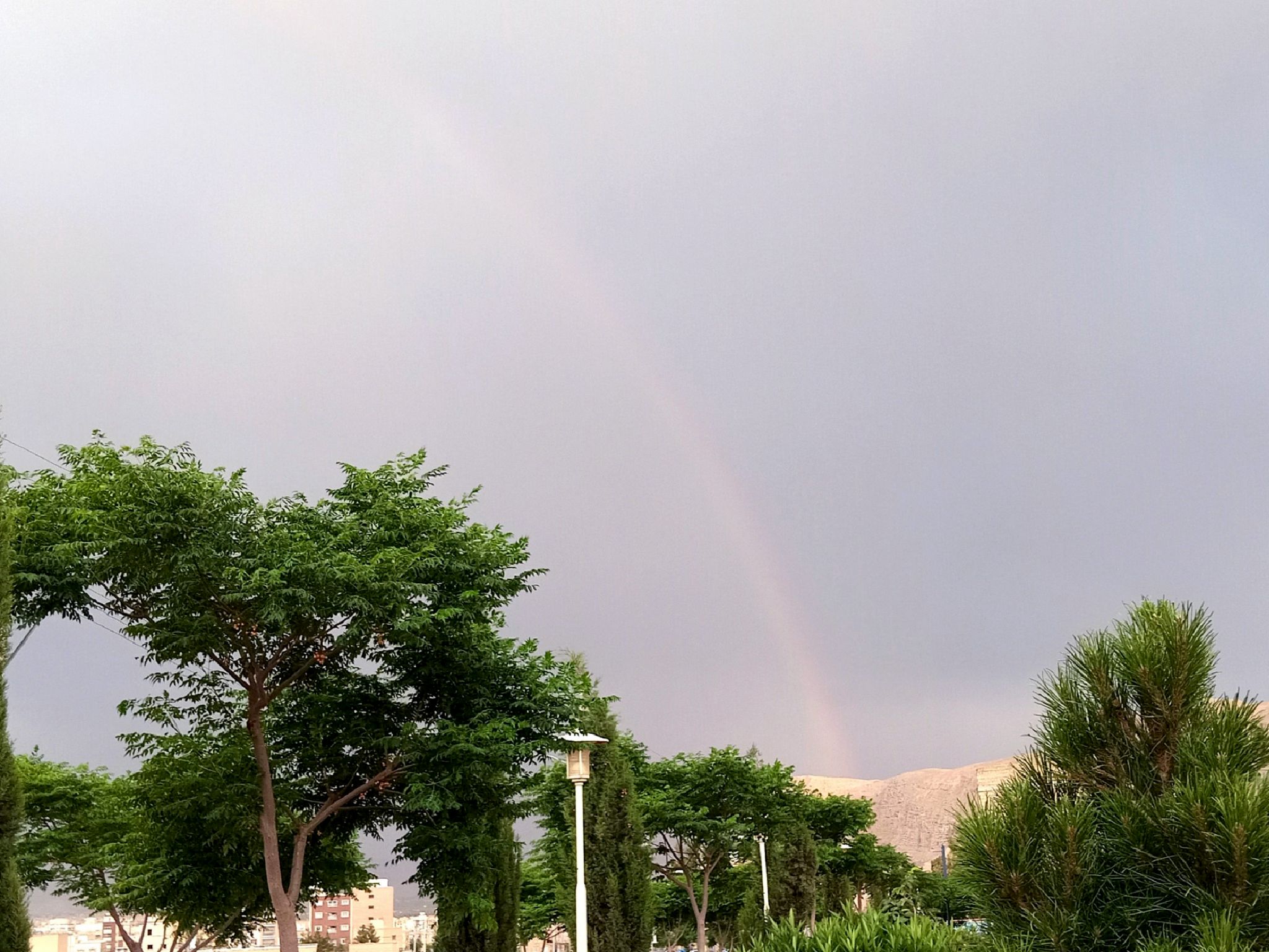 Community photo entitled  by Hassan Dadashi . Arani on 06/11/2024 at Esfahan. Iran