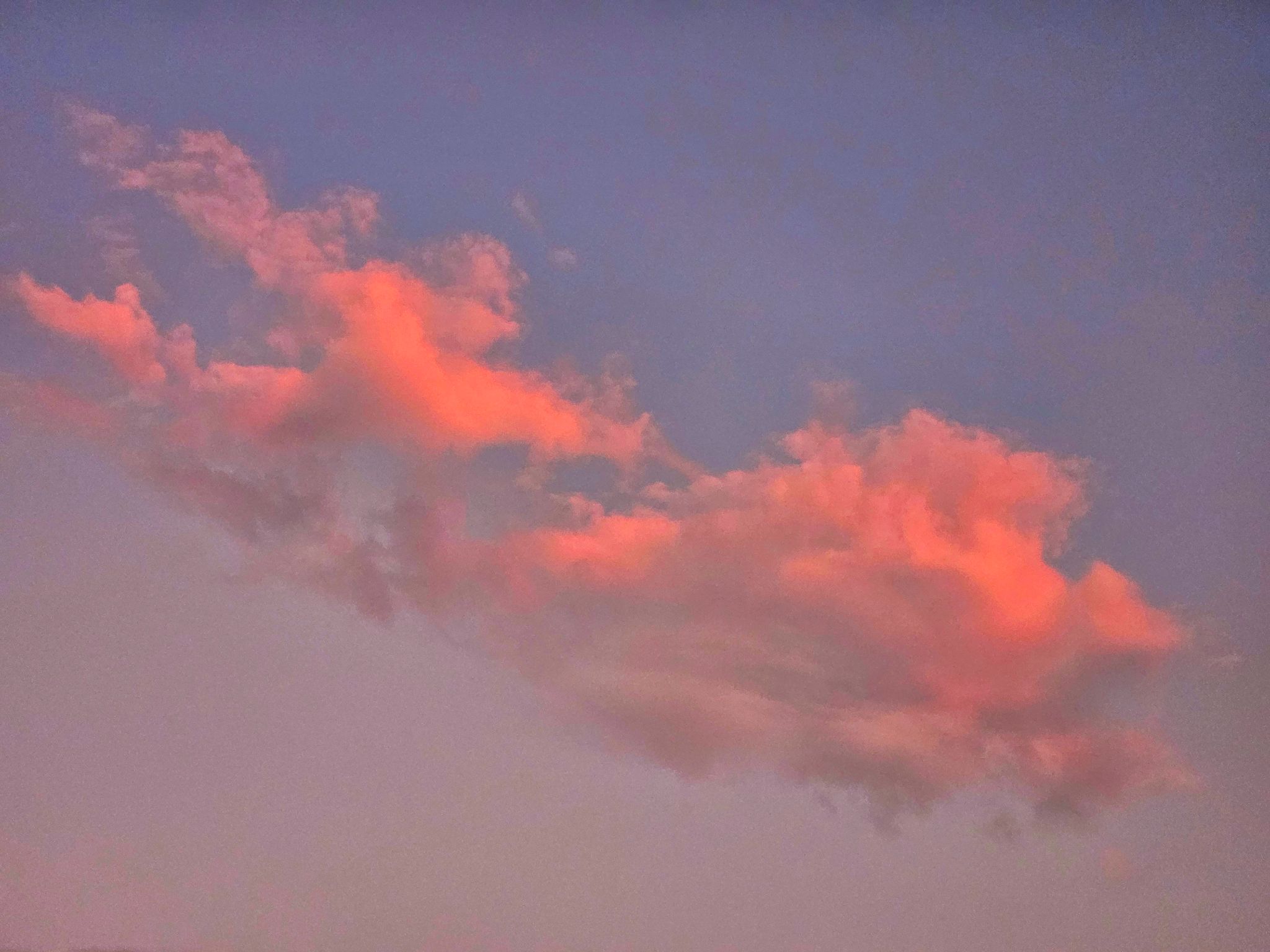 Community photo entitled Red sky at night.... by C. Gentile on 07/07/2024 at Florham Patk, NJ USA