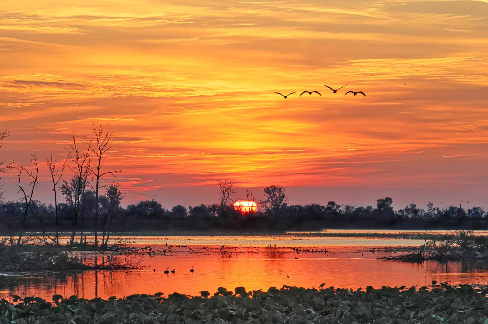 Community photo by Tony Everhardt | Ottawa National Wildlife Refuge. Ottawa County, Ohio