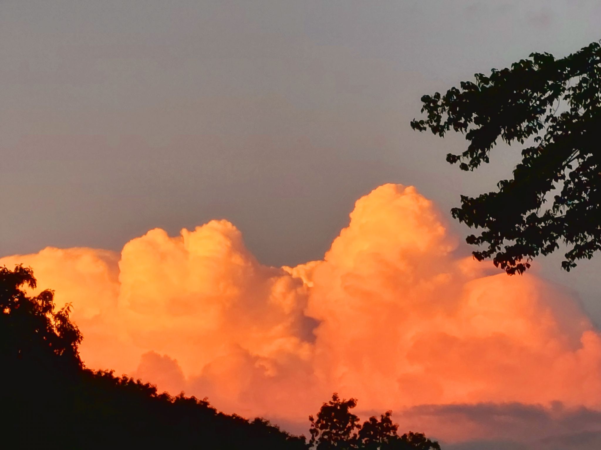 Community photo entitled Burst of color by Laurie Petell on 07/06/2024 at Pittsfield,  Ma