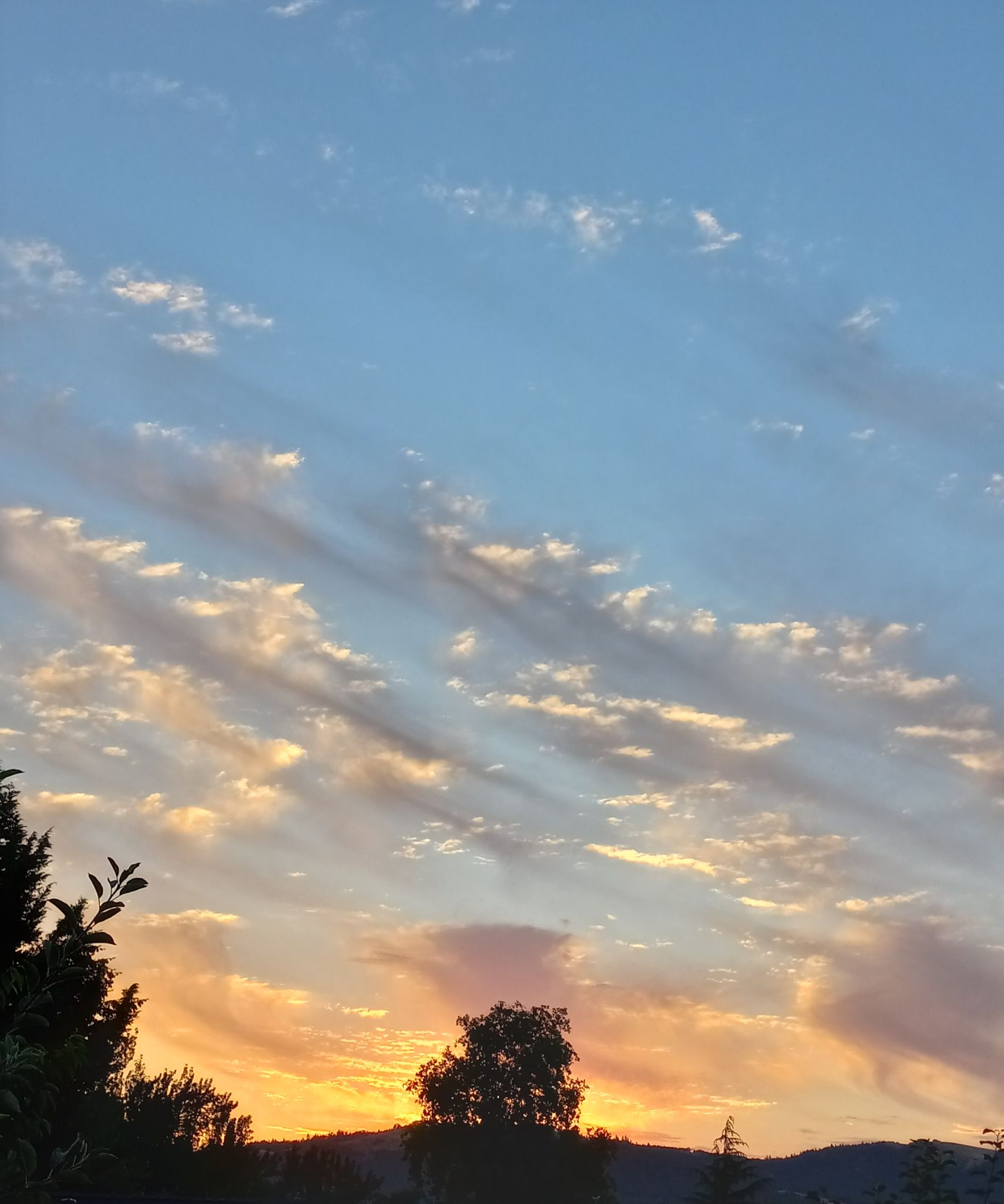 Community photo entitled Sunrise in Oregon. by Dolores de la Fuente on 07/15/2024 at Roseburg,  Oregon