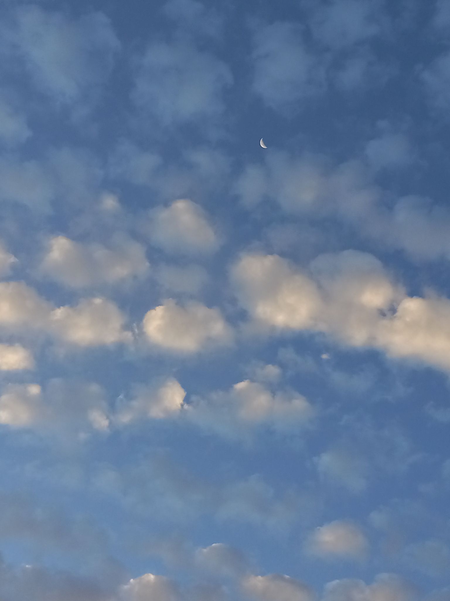 Community photo entitled Moon and clouds. by Dolores de la Fuente on 07/29/2024 at Roseburg,Oregon