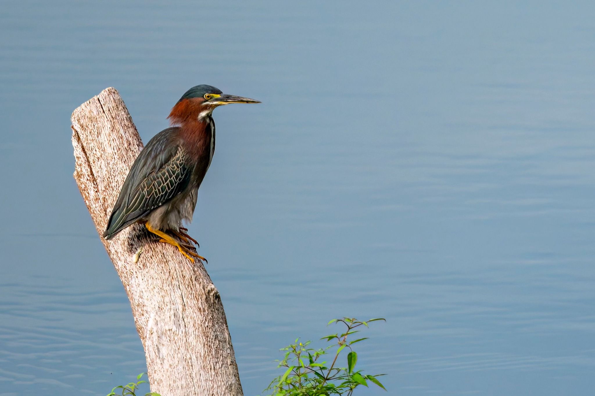 Community photo entitled Finding the spot by Mike Vaughn on 07/15/2024 at Shreveport, LA